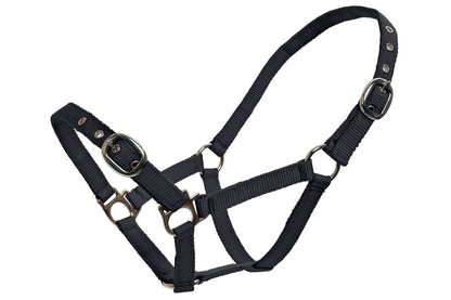 Blue Tag Web Halters Small Sizes