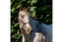 Flair Rope Multi Fleck Halter