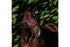 Flair Plush Fleece Lined Halter