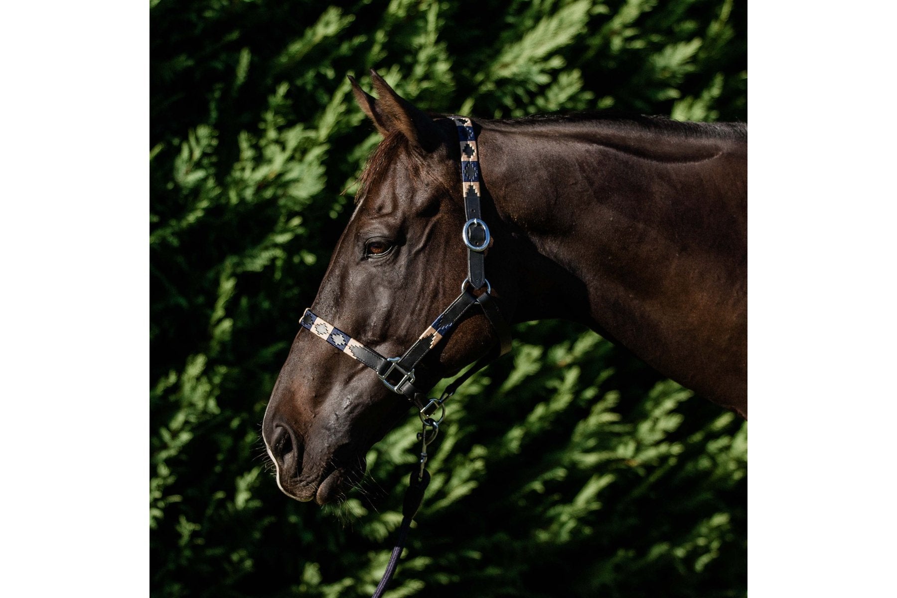 Double Hill Leather Polo Halter