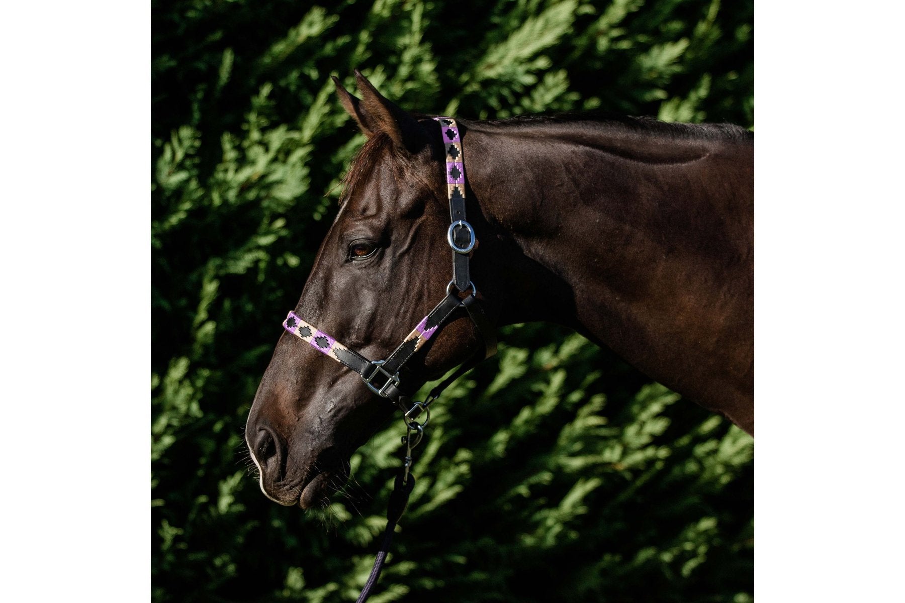 Double Hill Leather Polo Halter