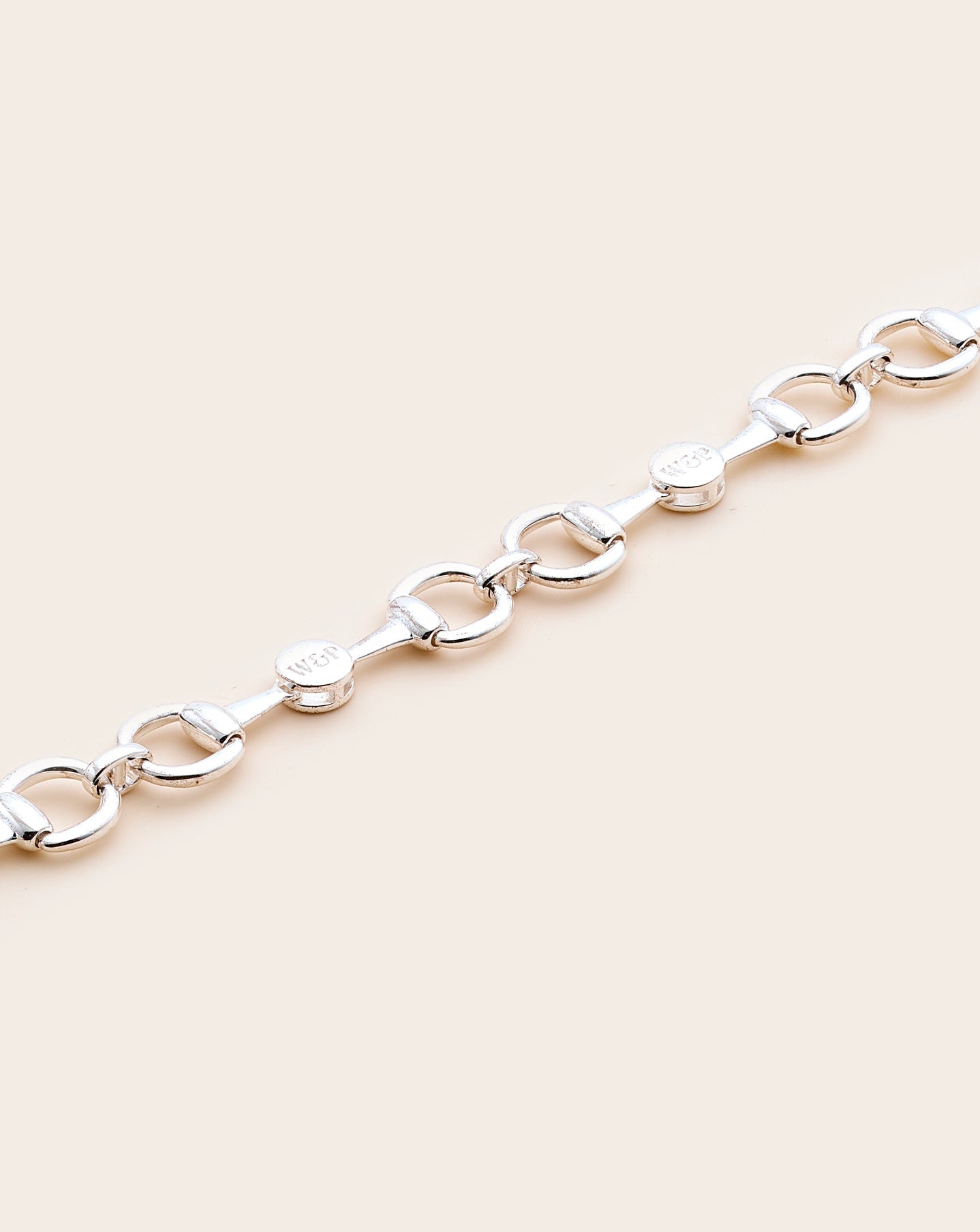 Whistle & Pop Bit of Elegance Chunky Necklace