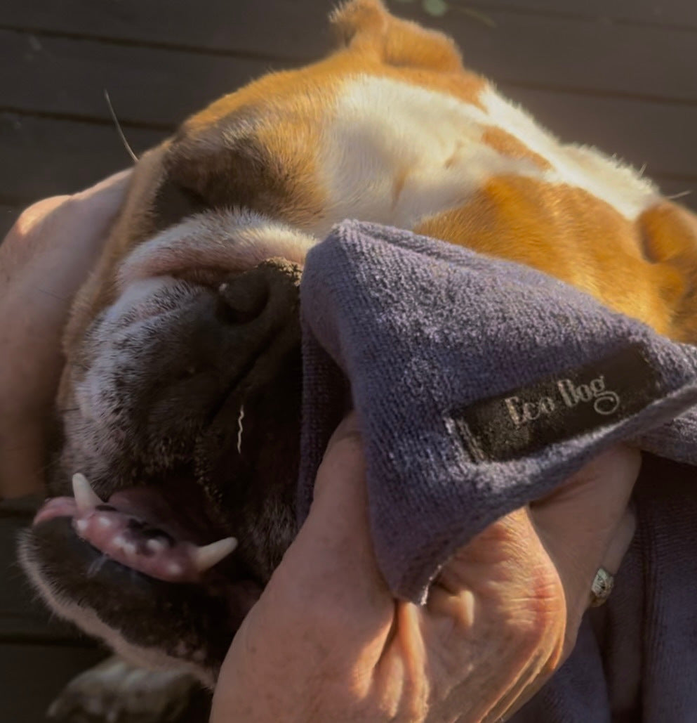 Eco Dog Boop Cloth in use