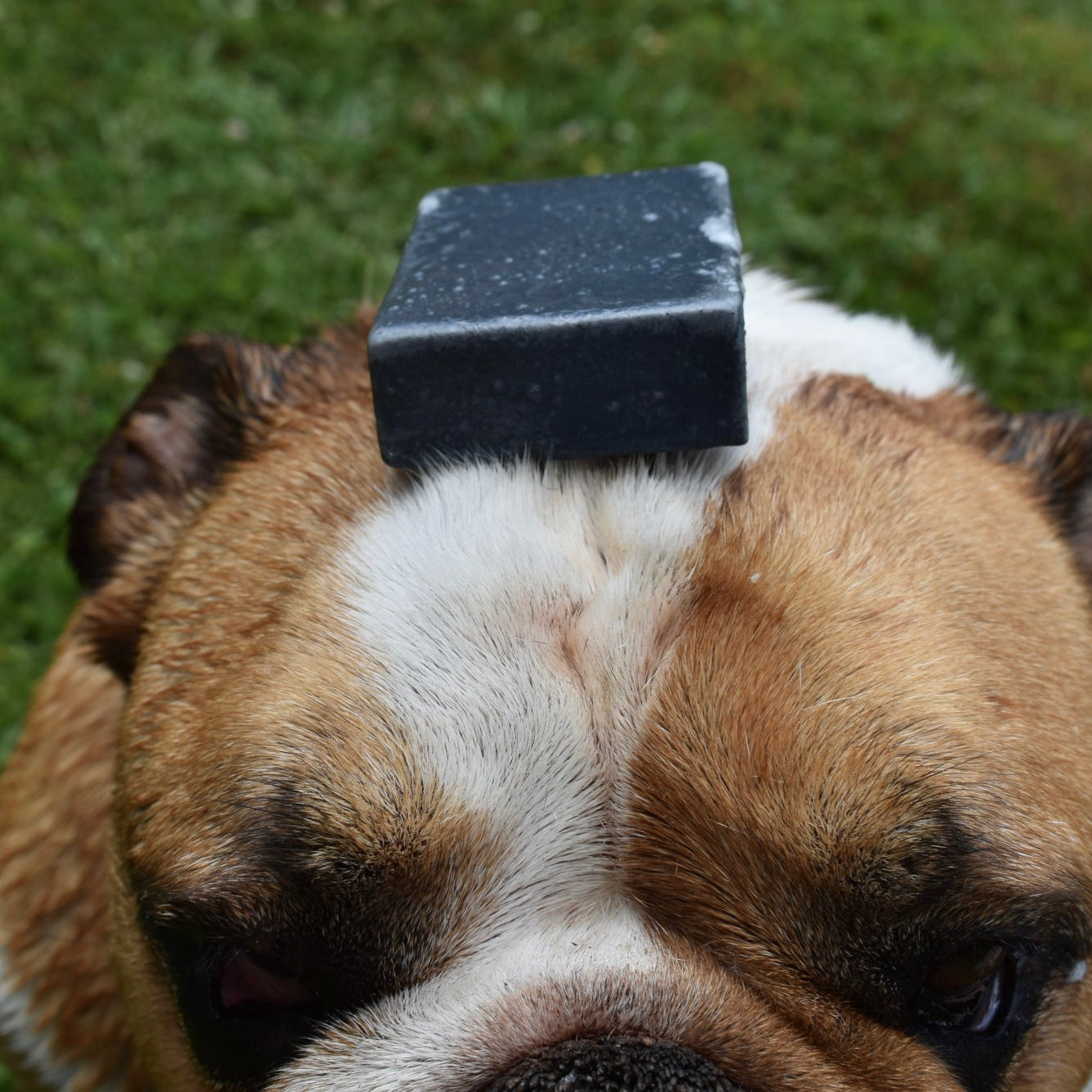 Eco Dog Chunky Charcoal Soap Block