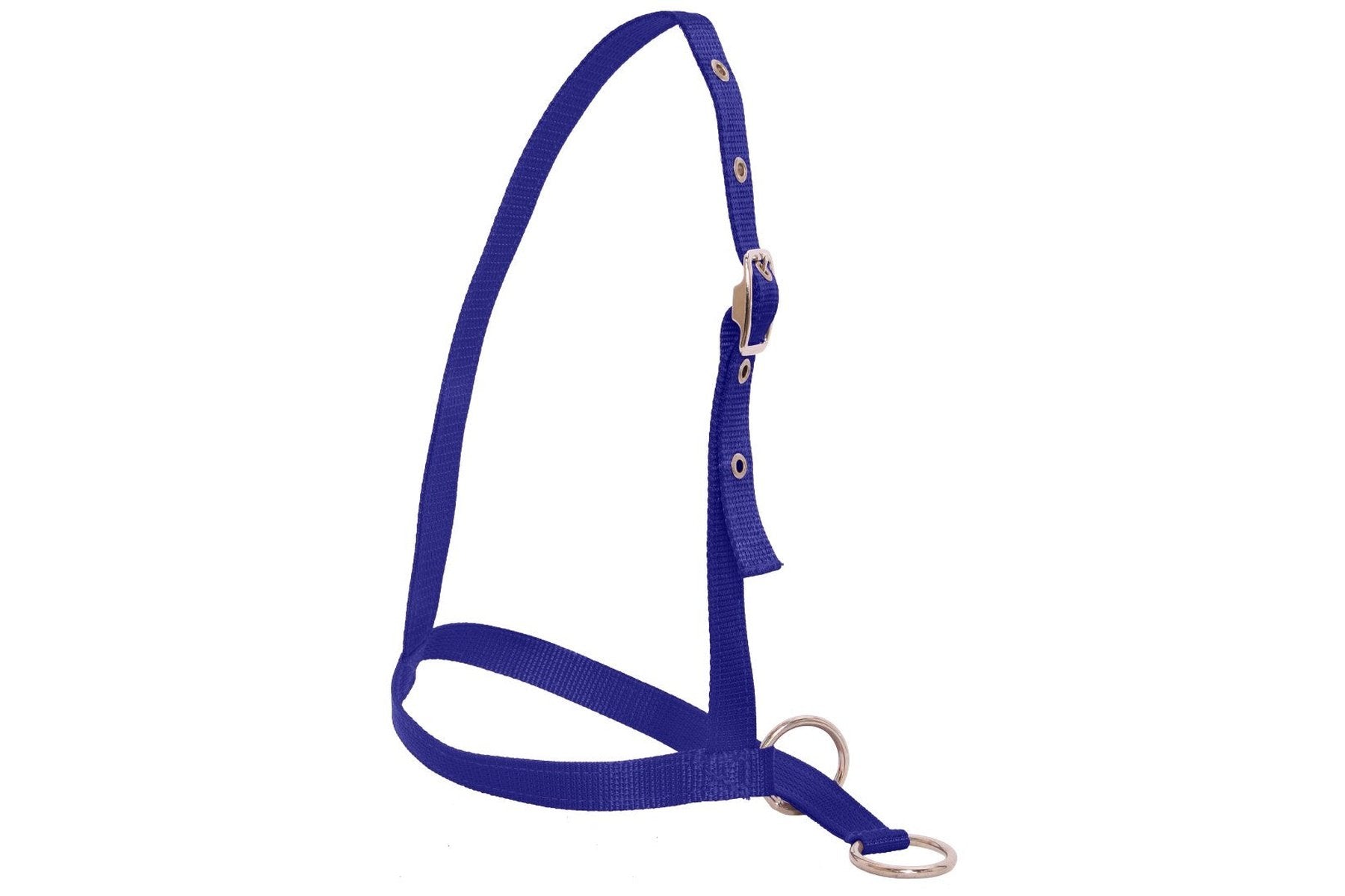 Flair Leading Calf Halter