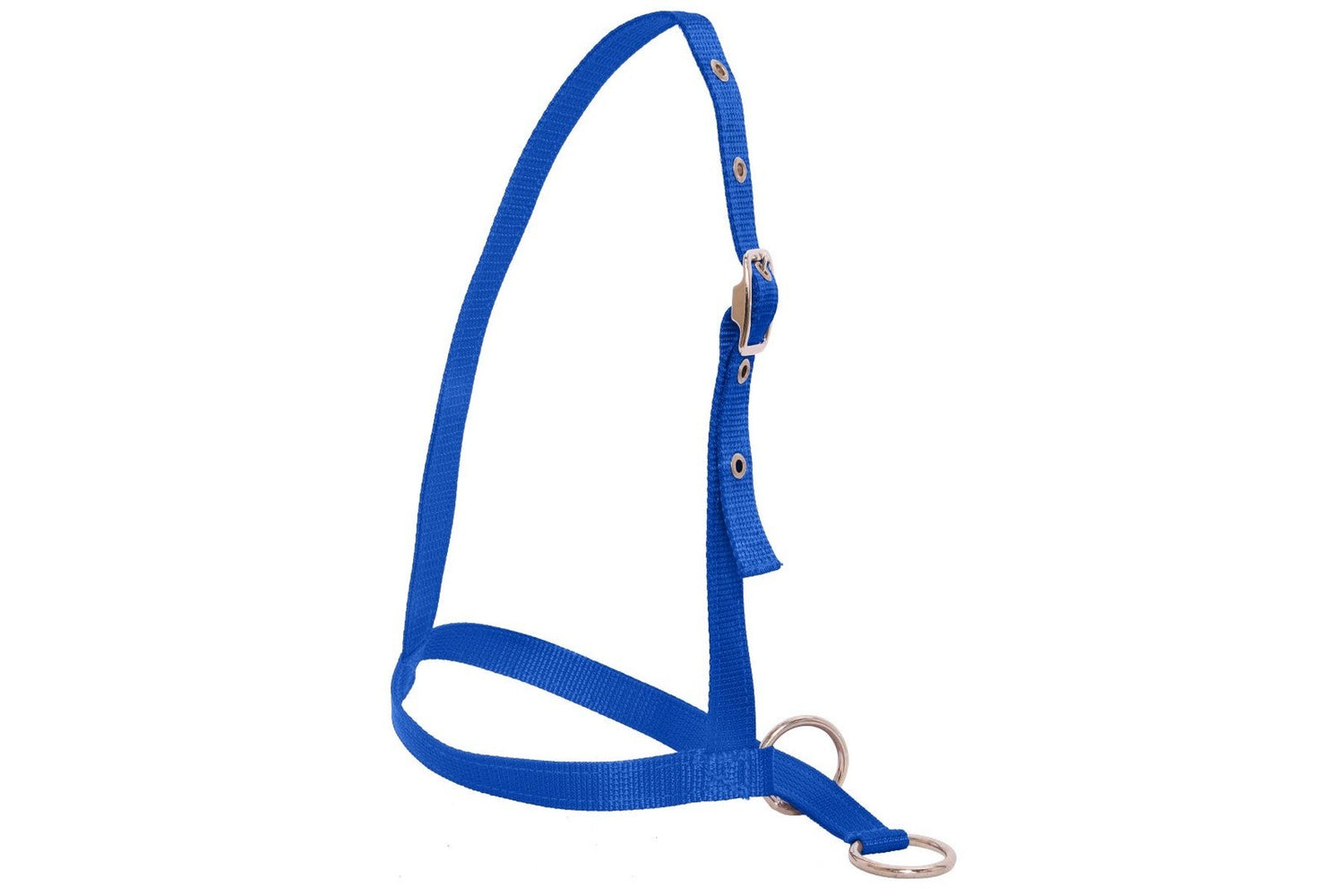 Flair Leading Calf Halter