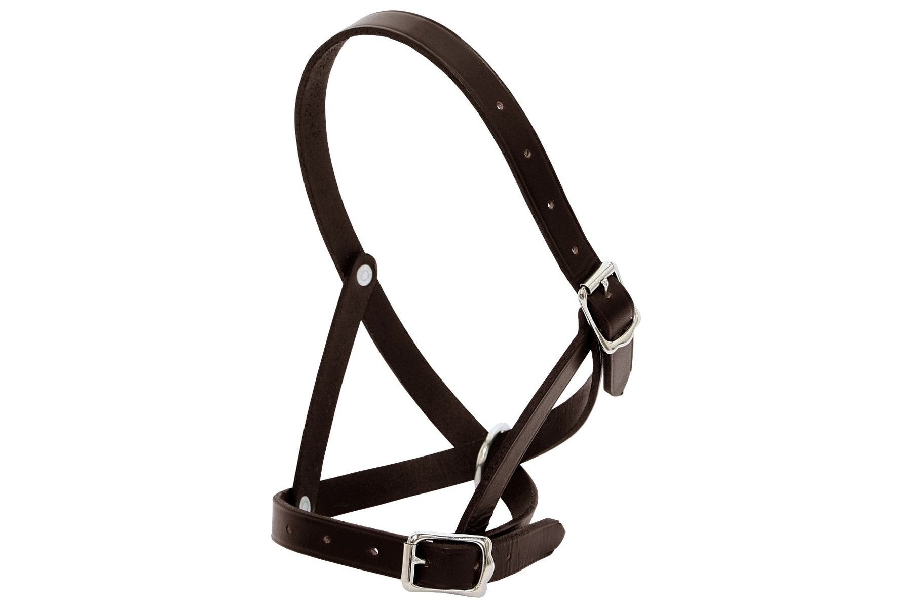 Blue Tag Leather Tethering Calf Halter