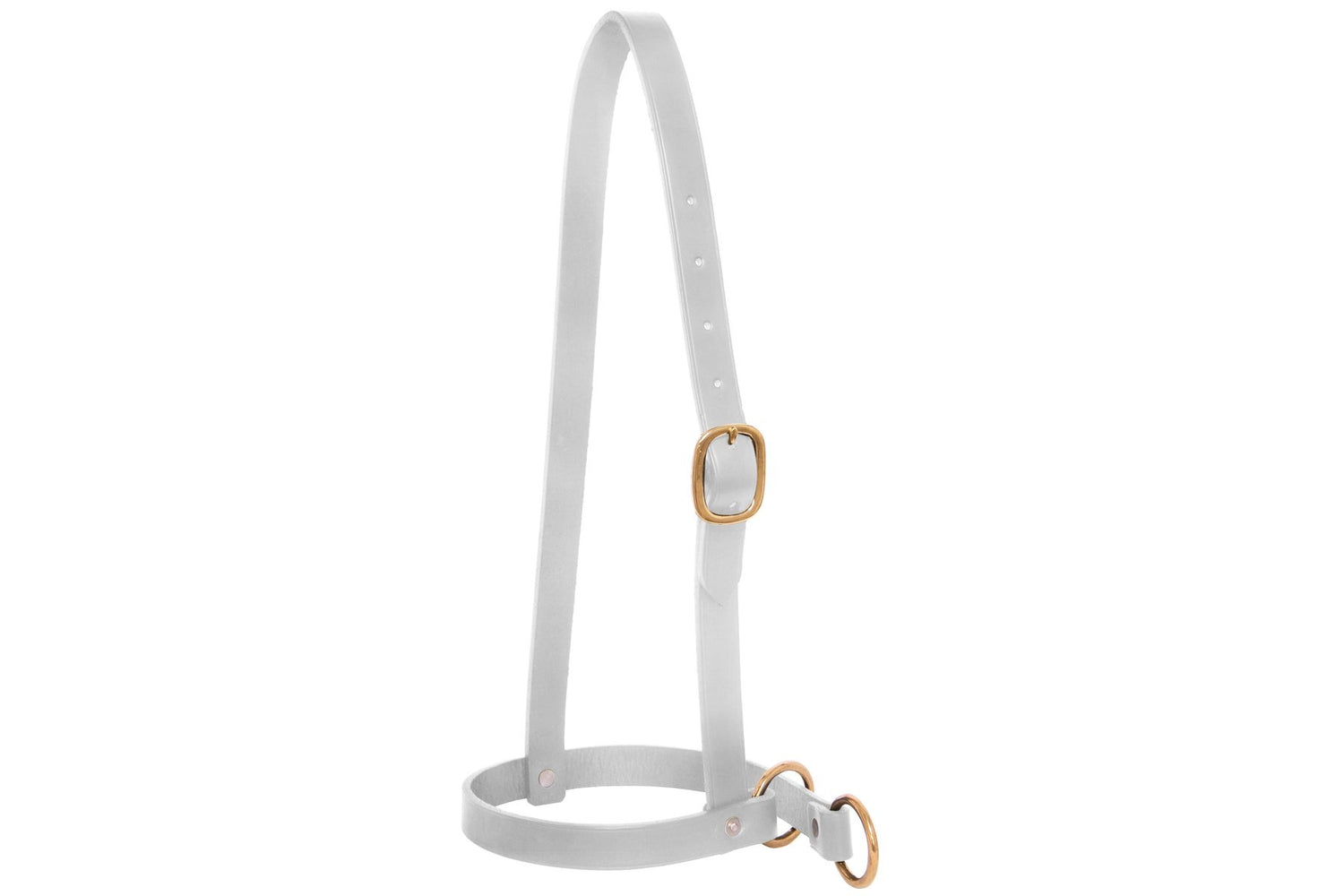 Blue Tag Leather Leading Calf Halter