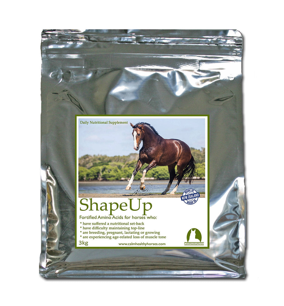 Calm Heathly Horses ShapeUp