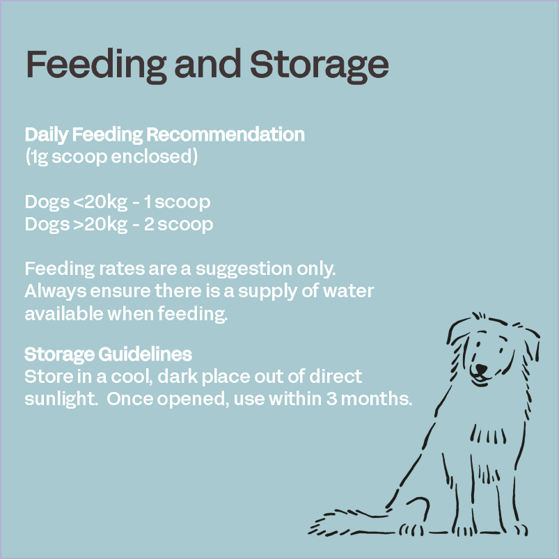 Fourflax Canine Oral Guard feeding and storage