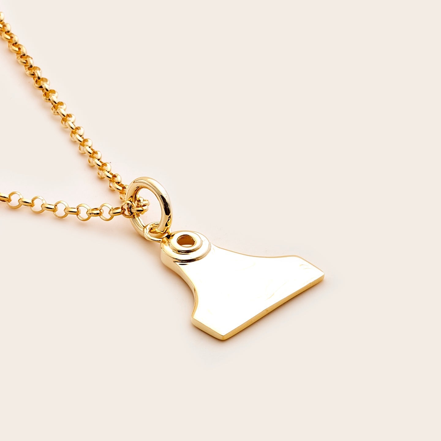 Whistle & Pop Cattle Tag Necklace