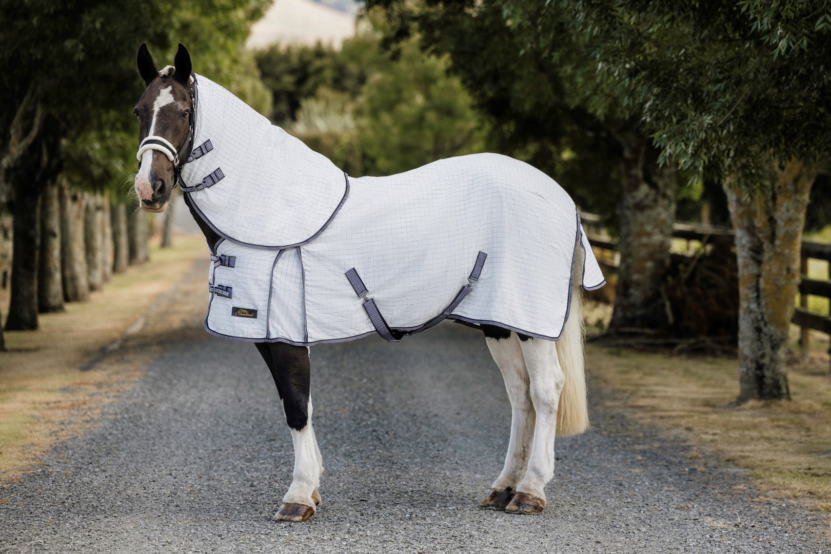 Cavallino York Summer Detach A’ Neck