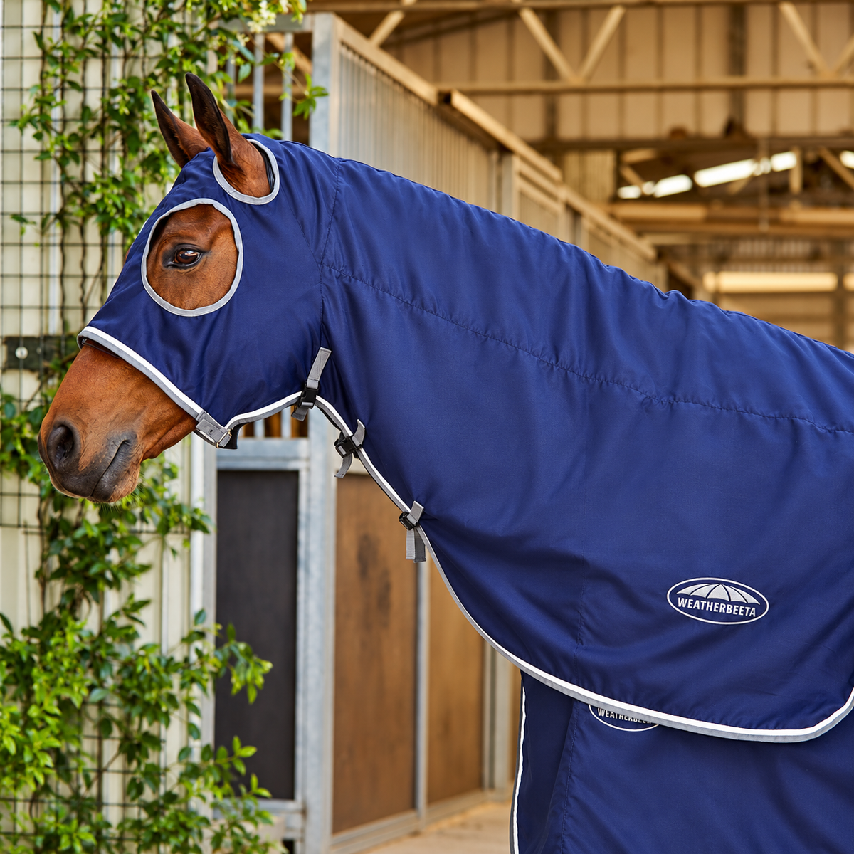 Weatherbeeta Show Sheet Hood