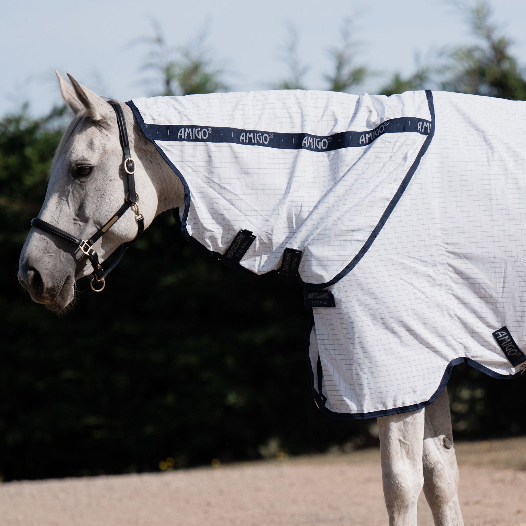 Amigo Helix Allrounder Disc Front Detach-A-Neck