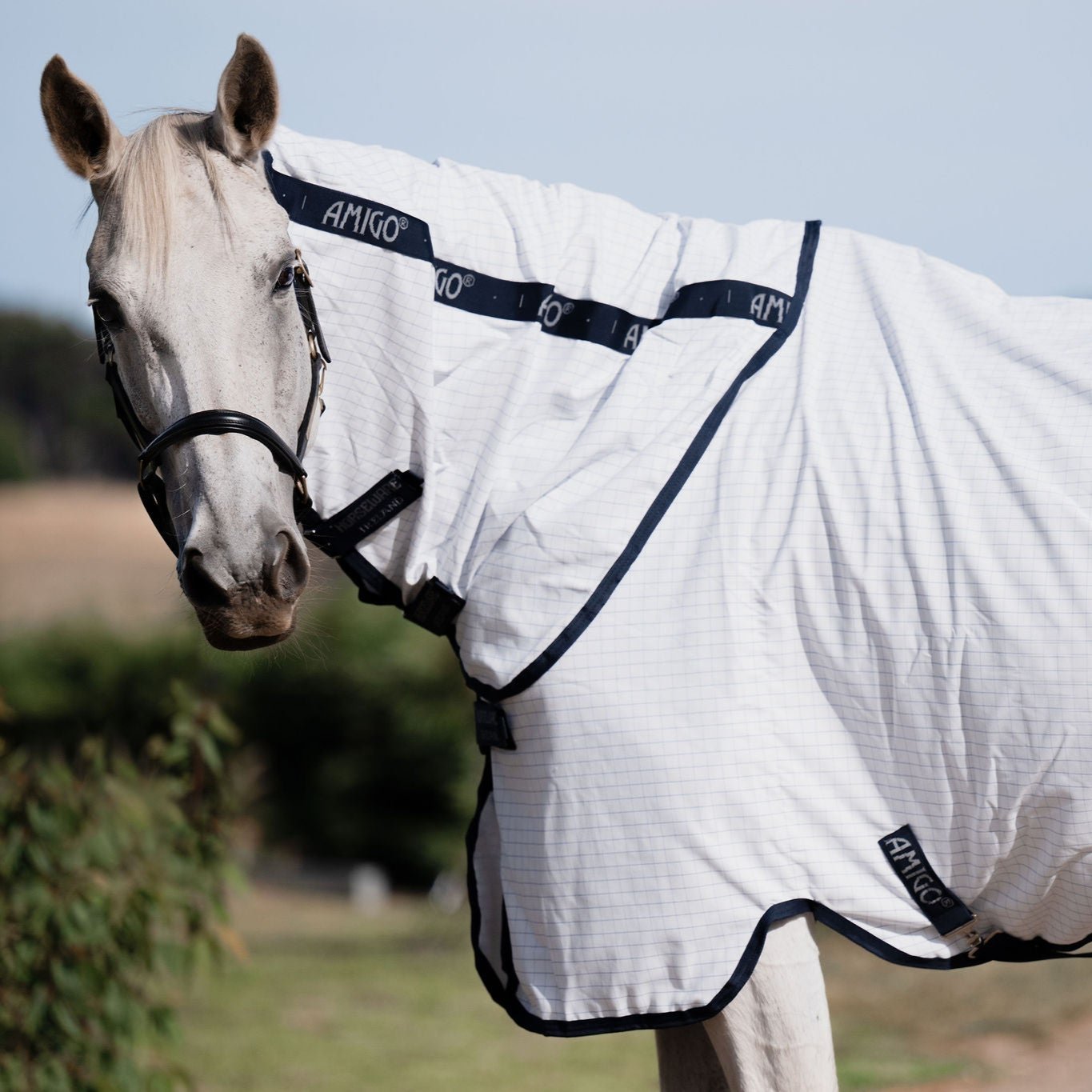 Amigo Helix Allrounder Disc Front Detach-A-Neck