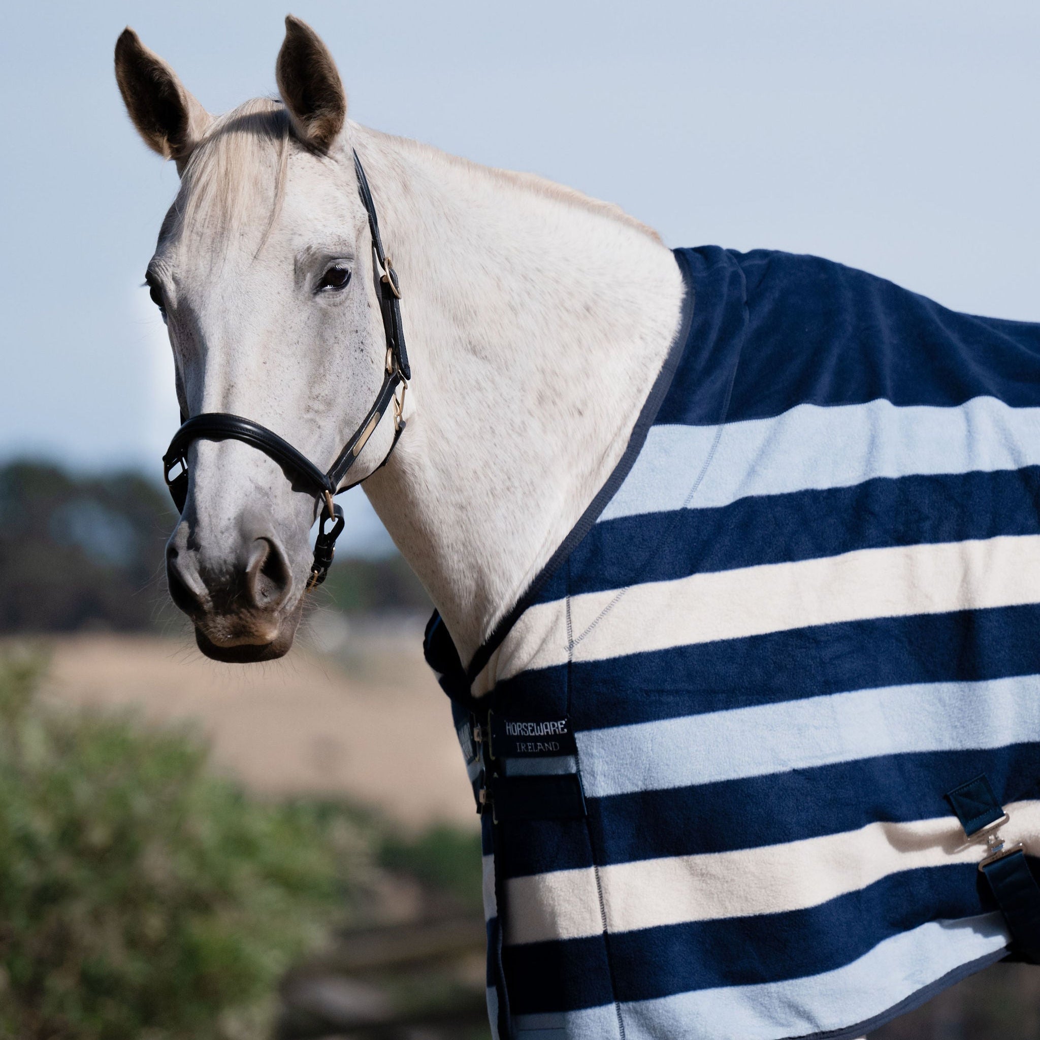 Rambo Deluxe Fleece Rug