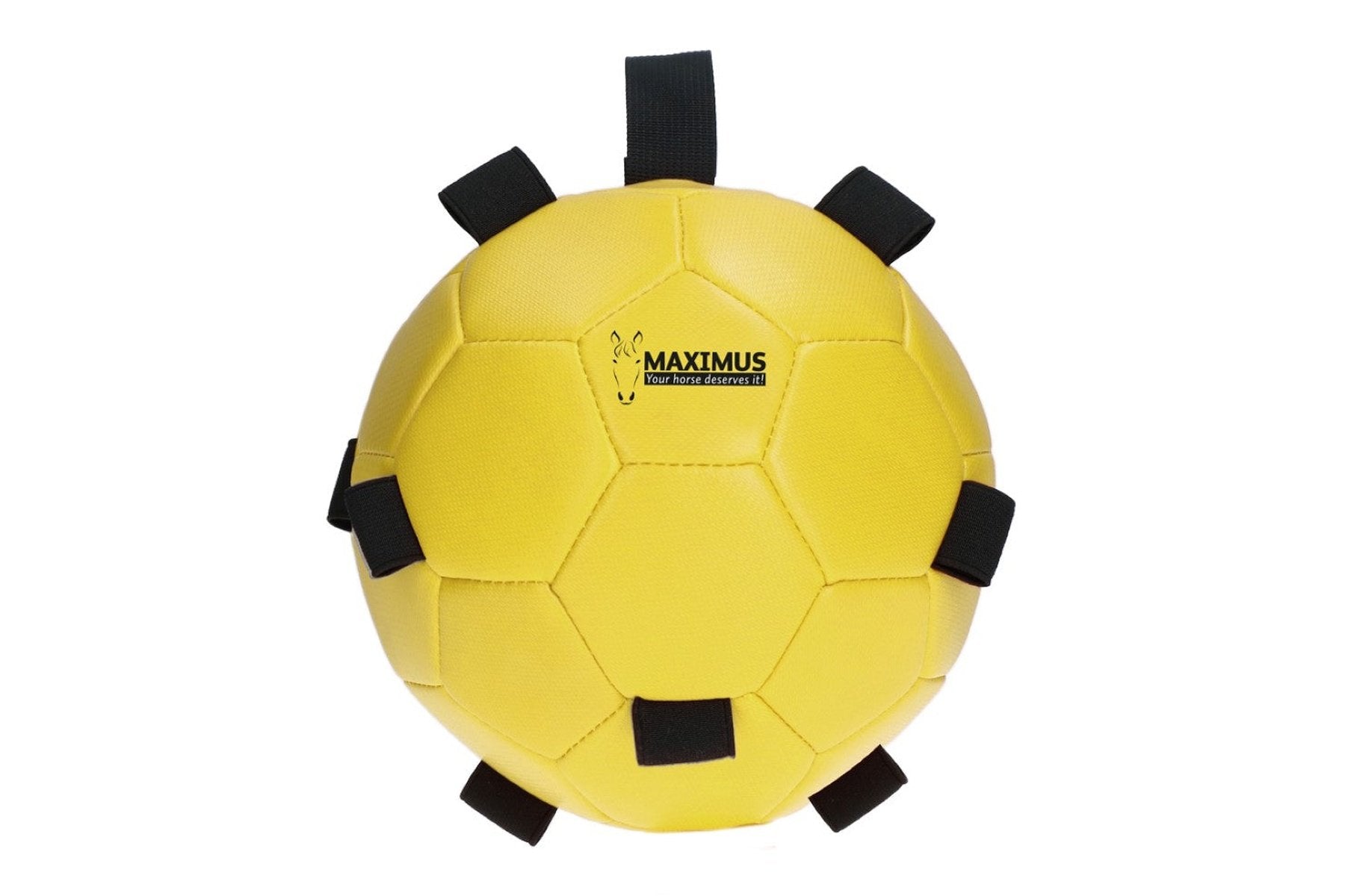 Maximus Fun Play Ball