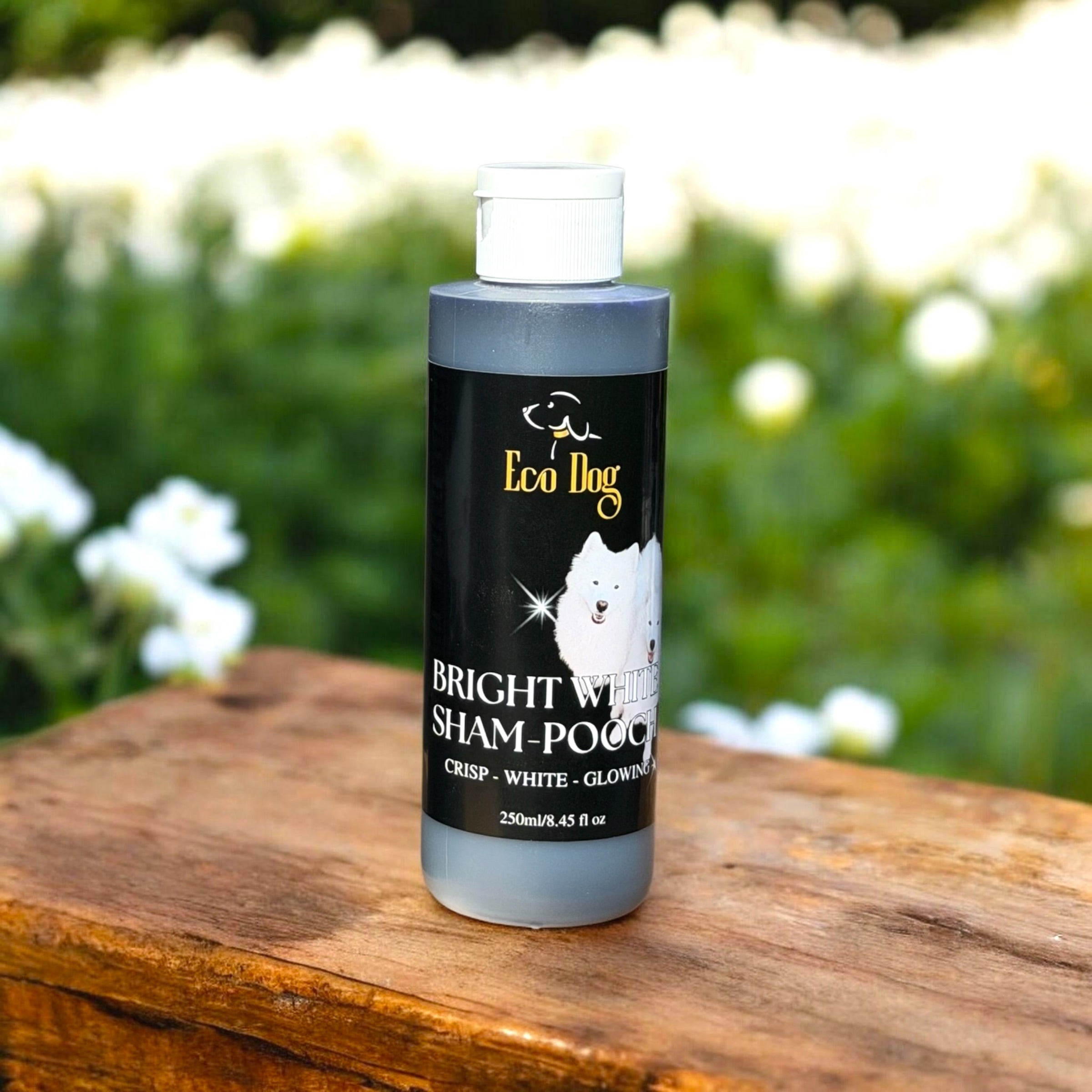 Eco Dog Bright White Sham-Pooch 250ml