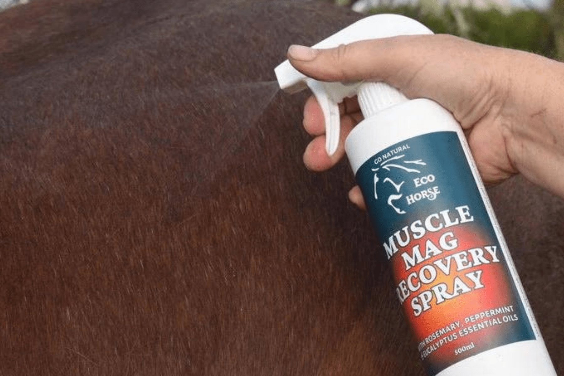 Eco Horse Muscle Mag Recovery Spray