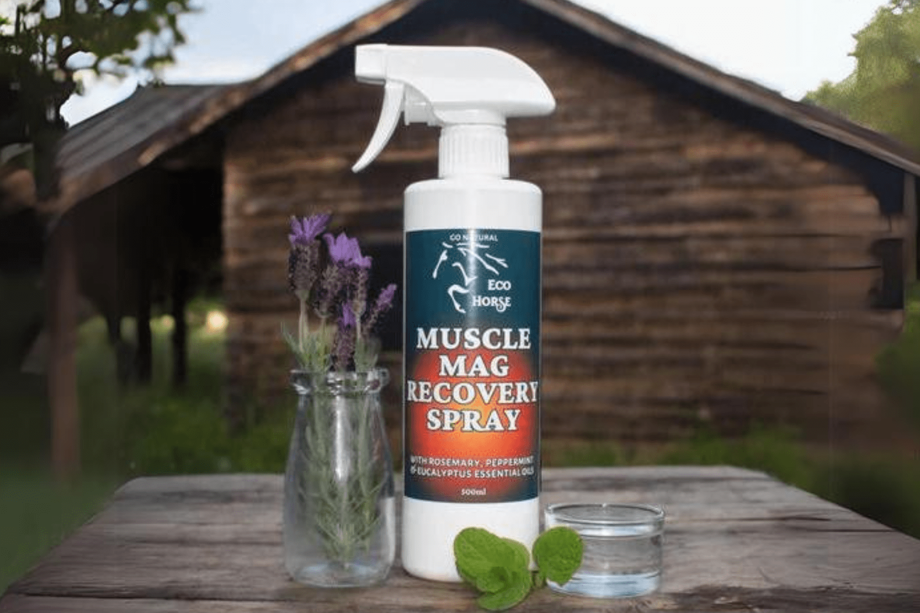 Eco Horse Muscle Mag Recovery Spray