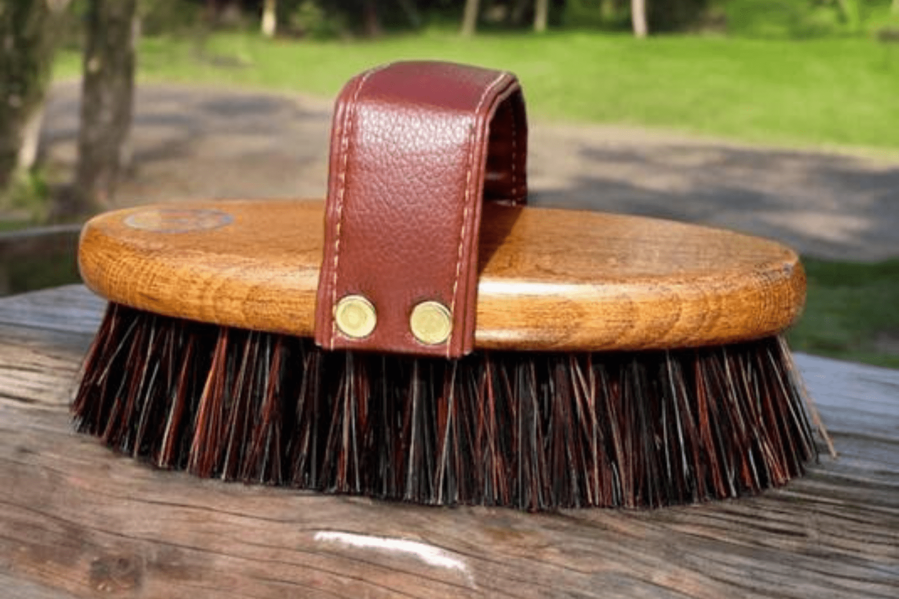 Eco Horse Tough Dandy Brush