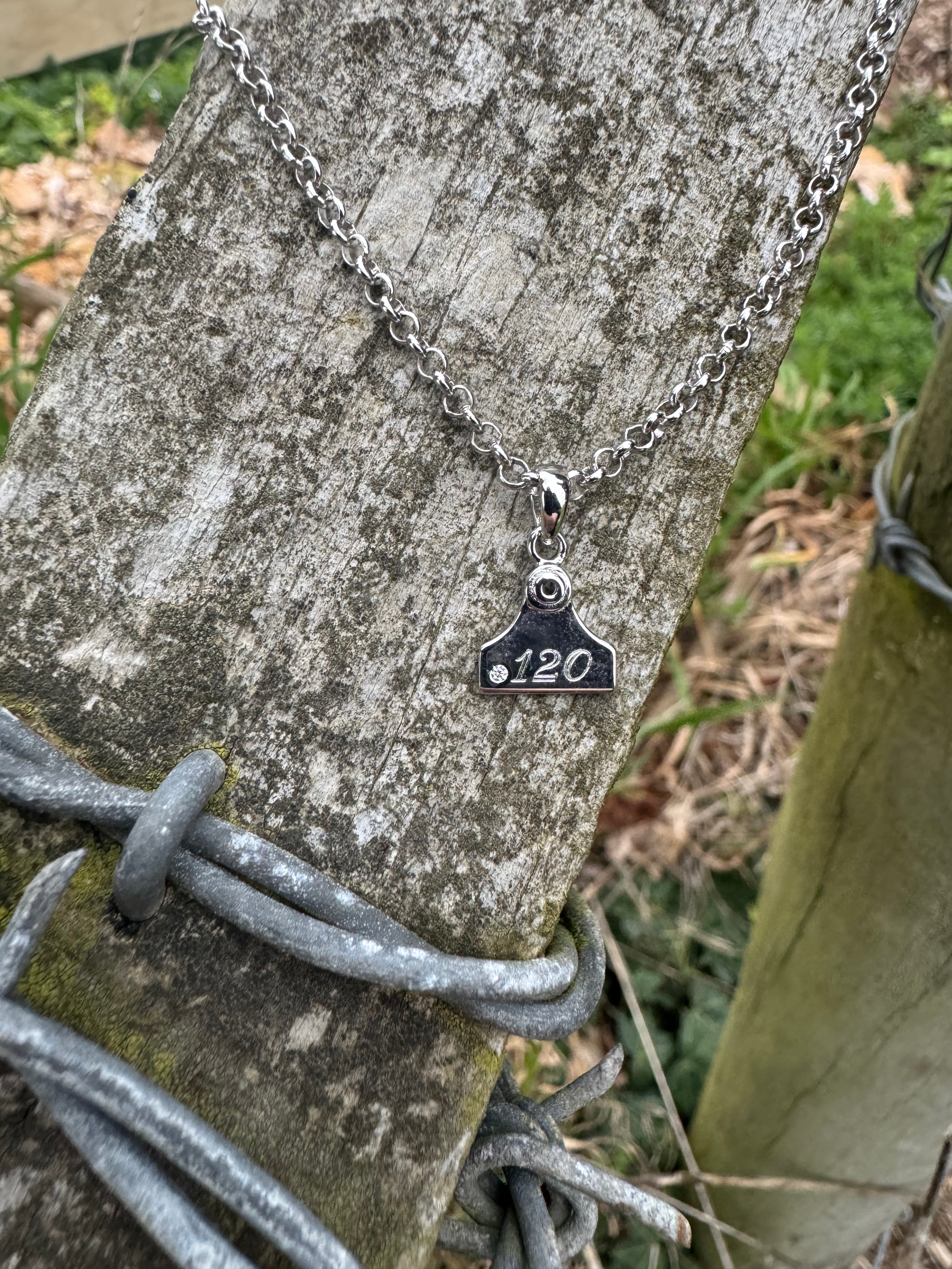 Country Collective Cattle Tag Necklace