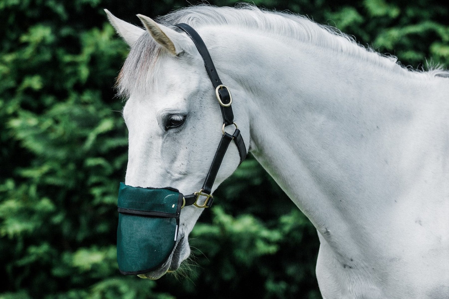 Flair Sola Shade Nose Guard