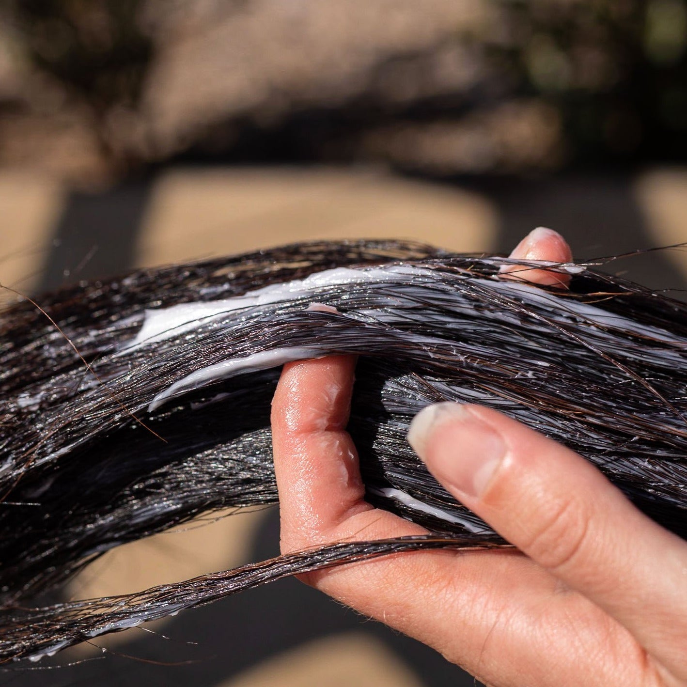 Hairy Pony Hair Repair - Kakadu plum