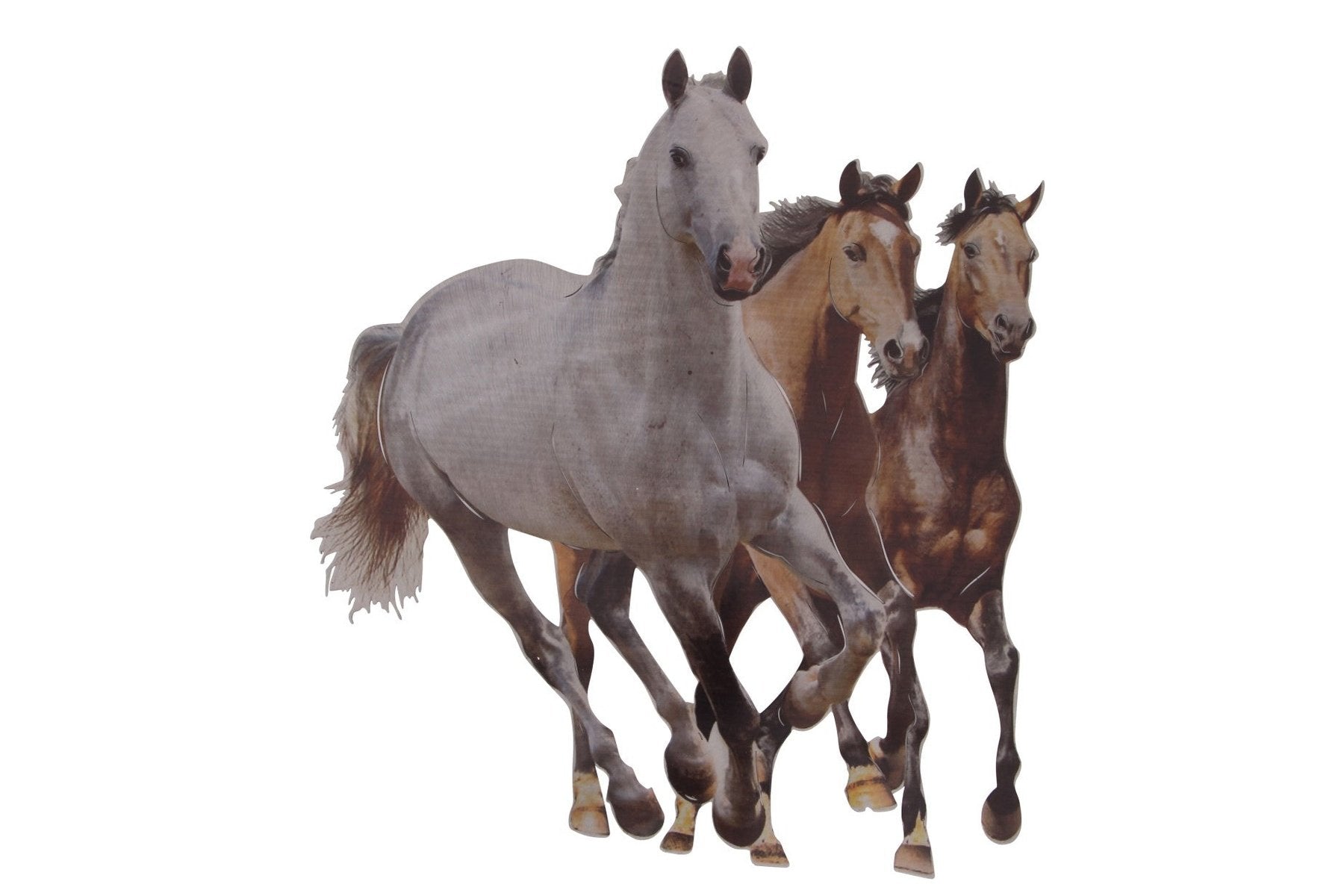 Wild Horses Wall Art