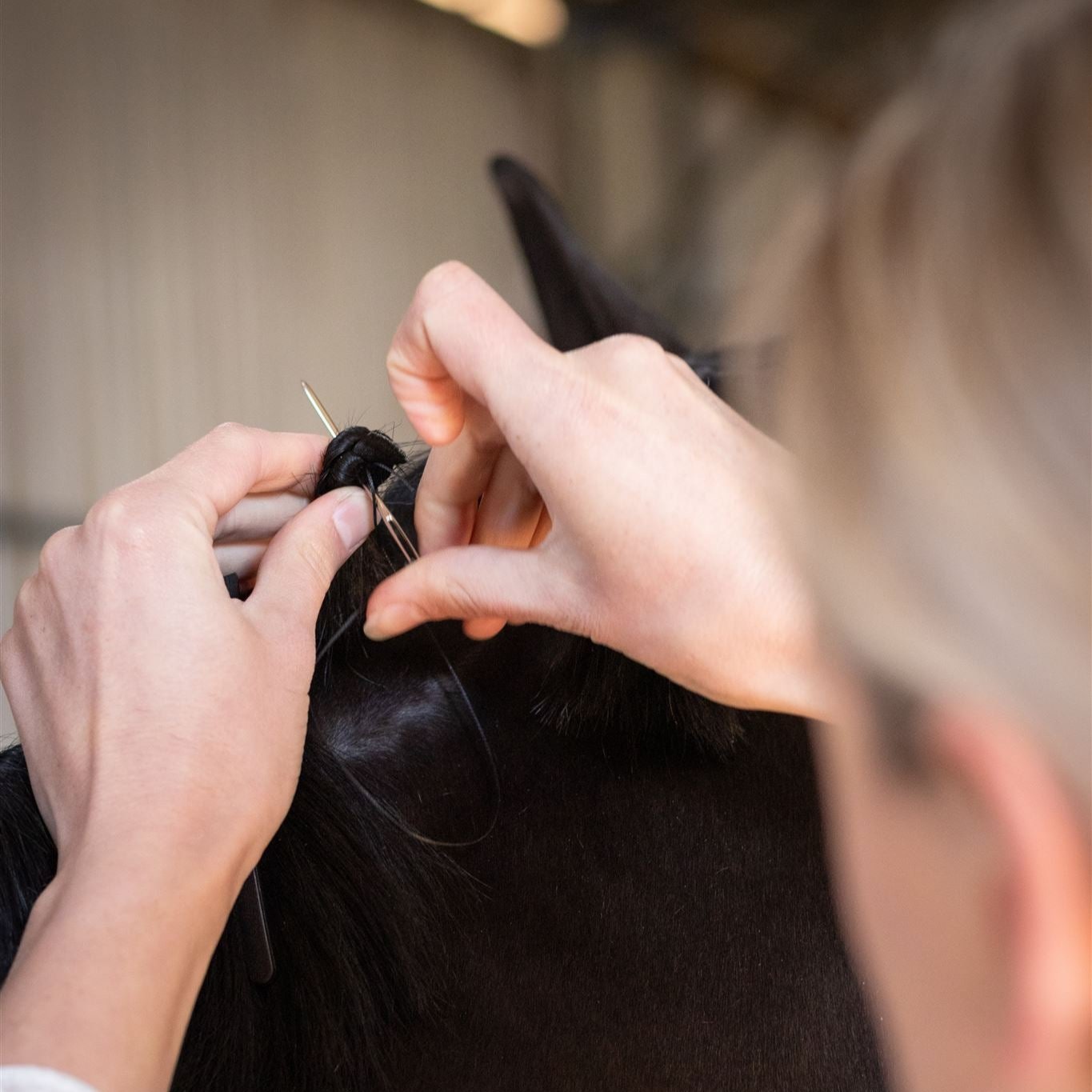 Hairy Pony Stainless Steel Horse Plaiting Needles - Pack of 2