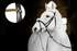 Horze Pony Bridle