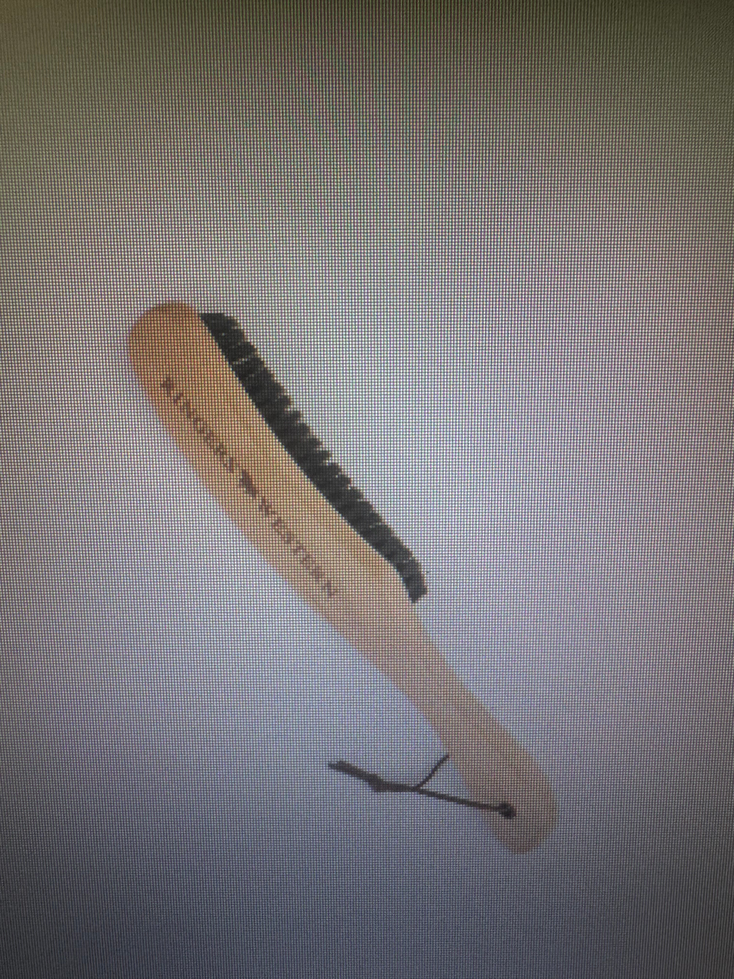 Ringers Western Large Hat Brush -