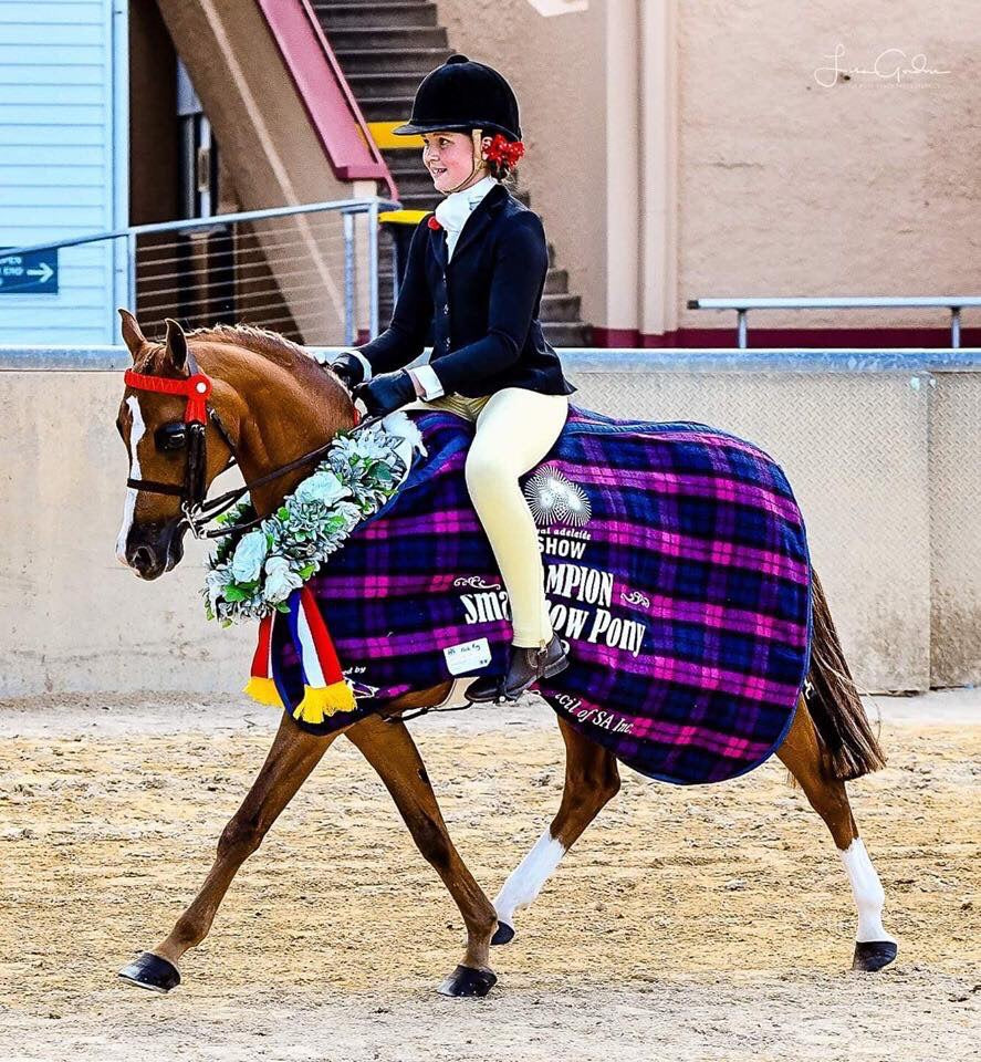 BARE Equestrain Youth Competition Wear Tights