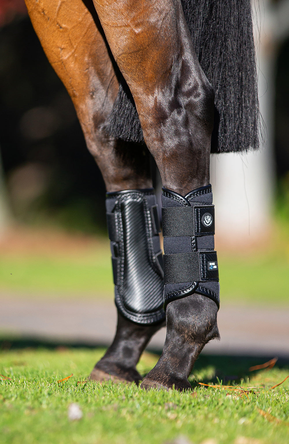 BARE Equestrian Horse Wear AIRFLOW Carbon Brushing Boots