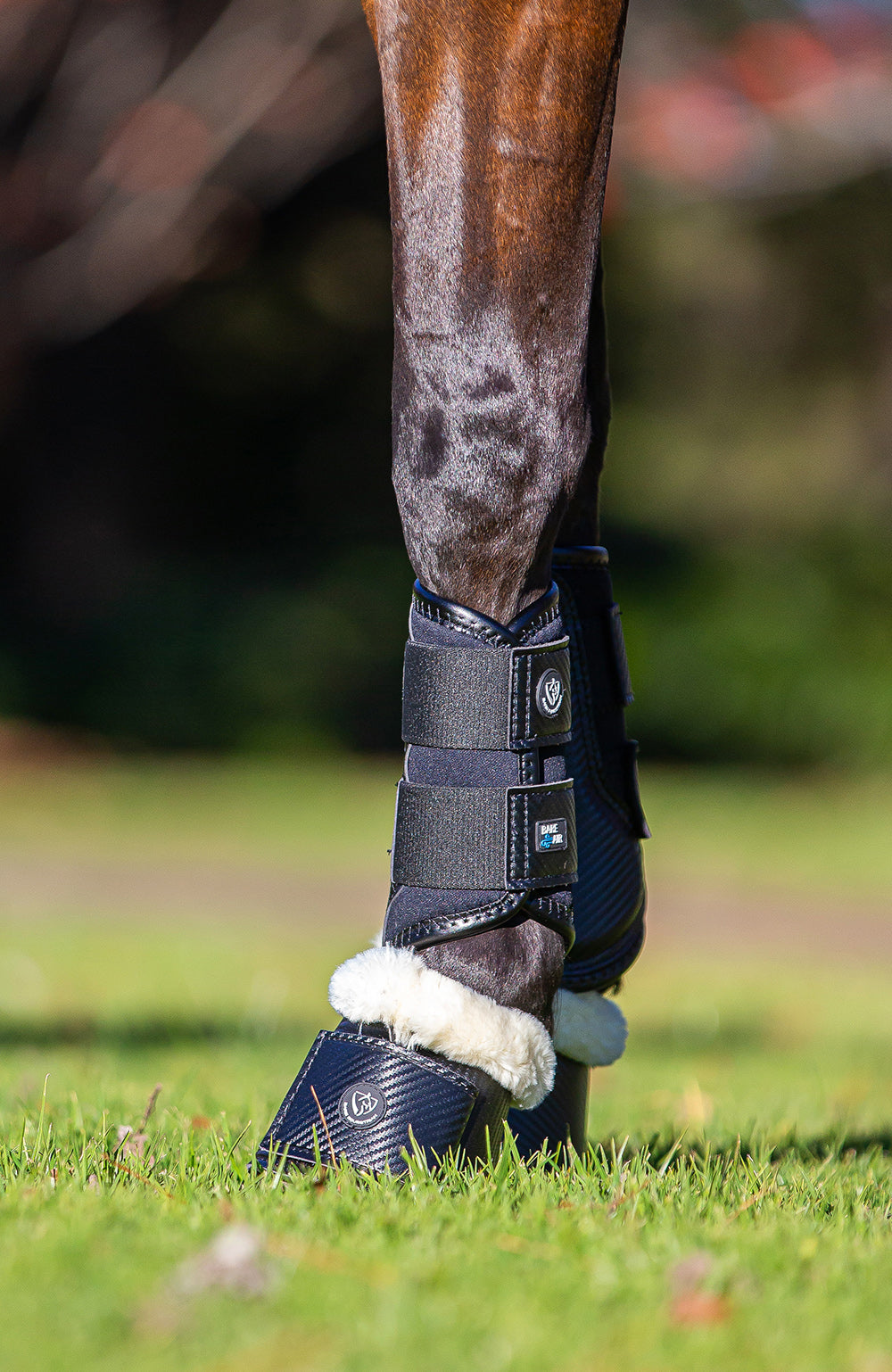 BARE Equestrian Horse Wear AIRFLOW Carbon Brushing Boots