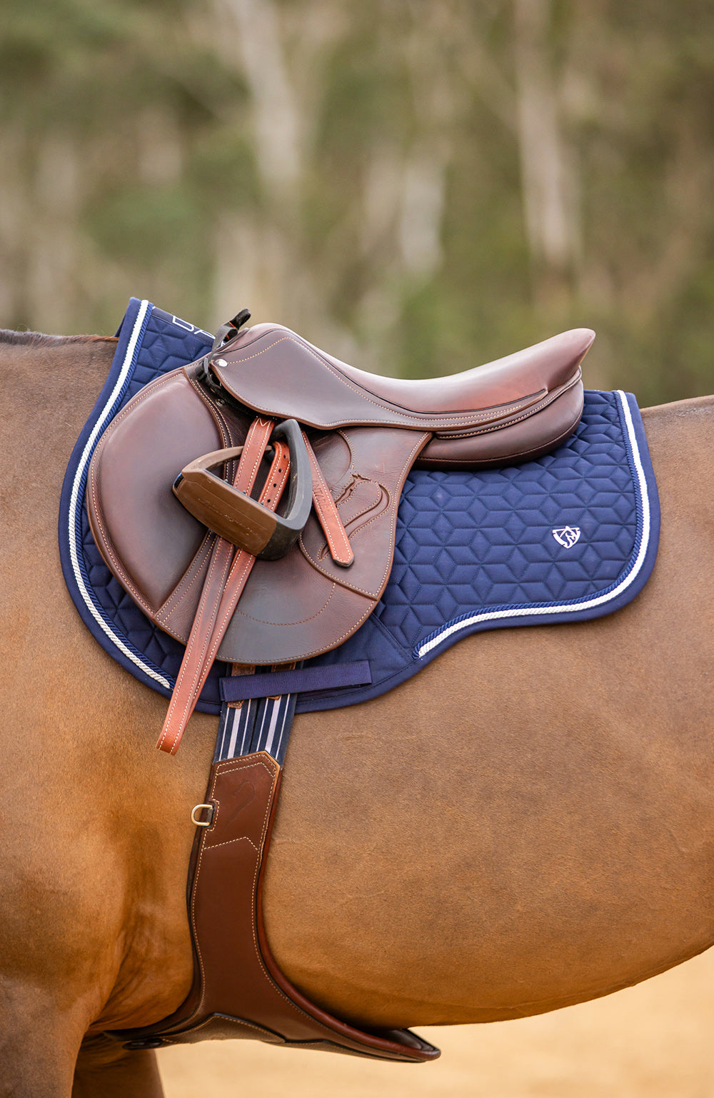 BARE Equestrian Pro-Rider Dimension Jump Saddle Pad