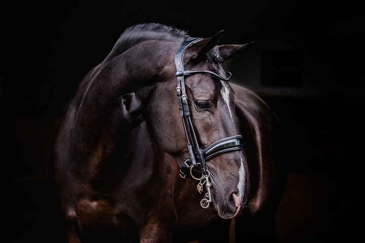 PS of Sweden Double Bridle Passage Lacquered