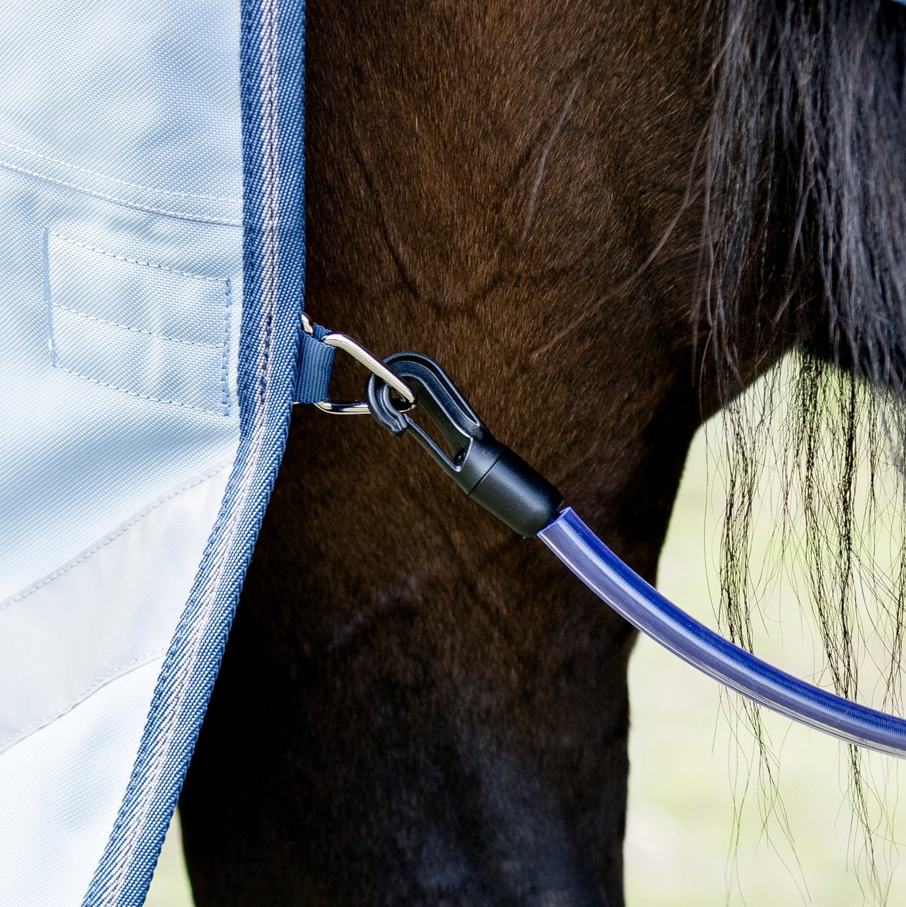 LE Boxter Turnout Detach-A-Neck