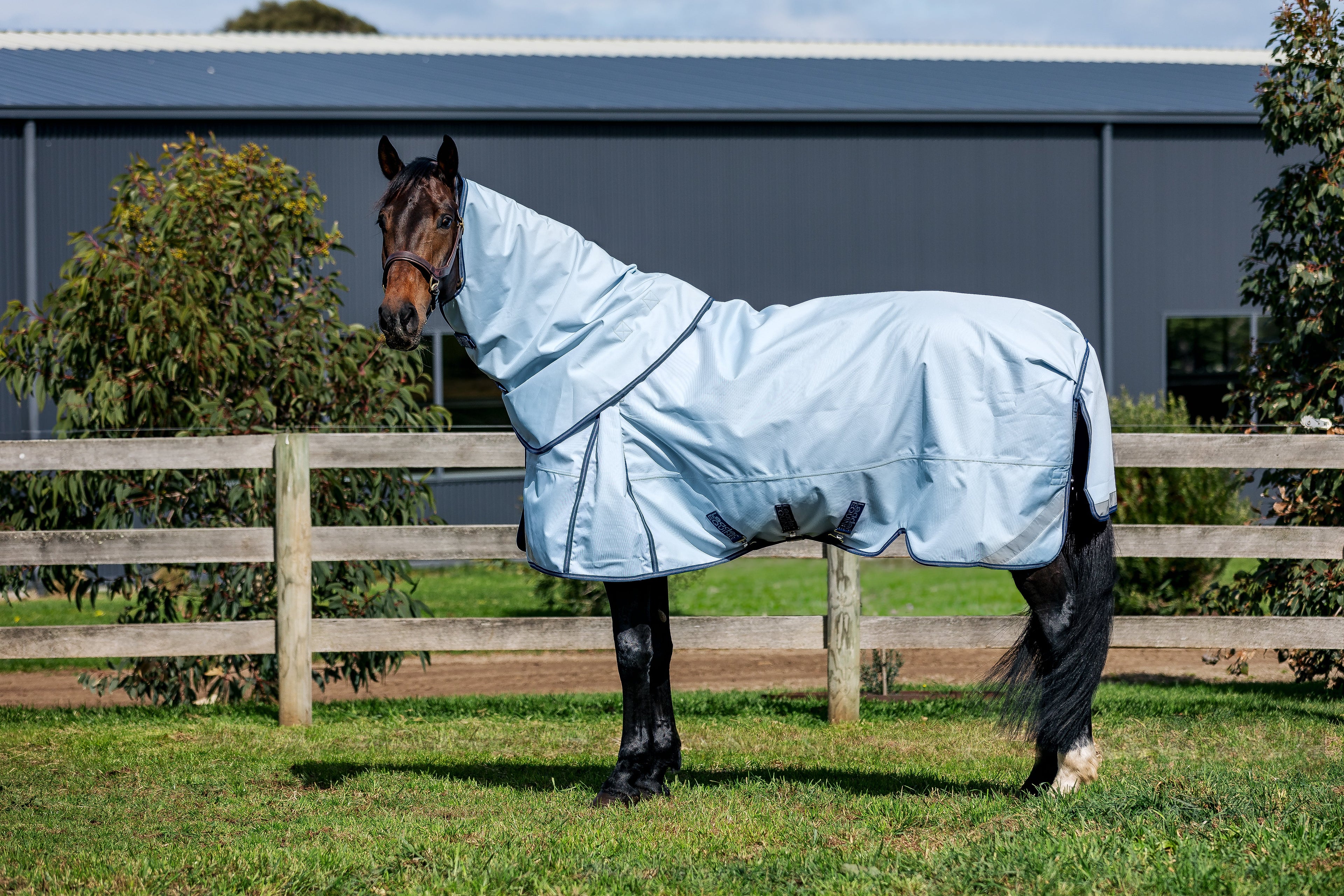 LE Boxter Turnout Detach-A-Neck