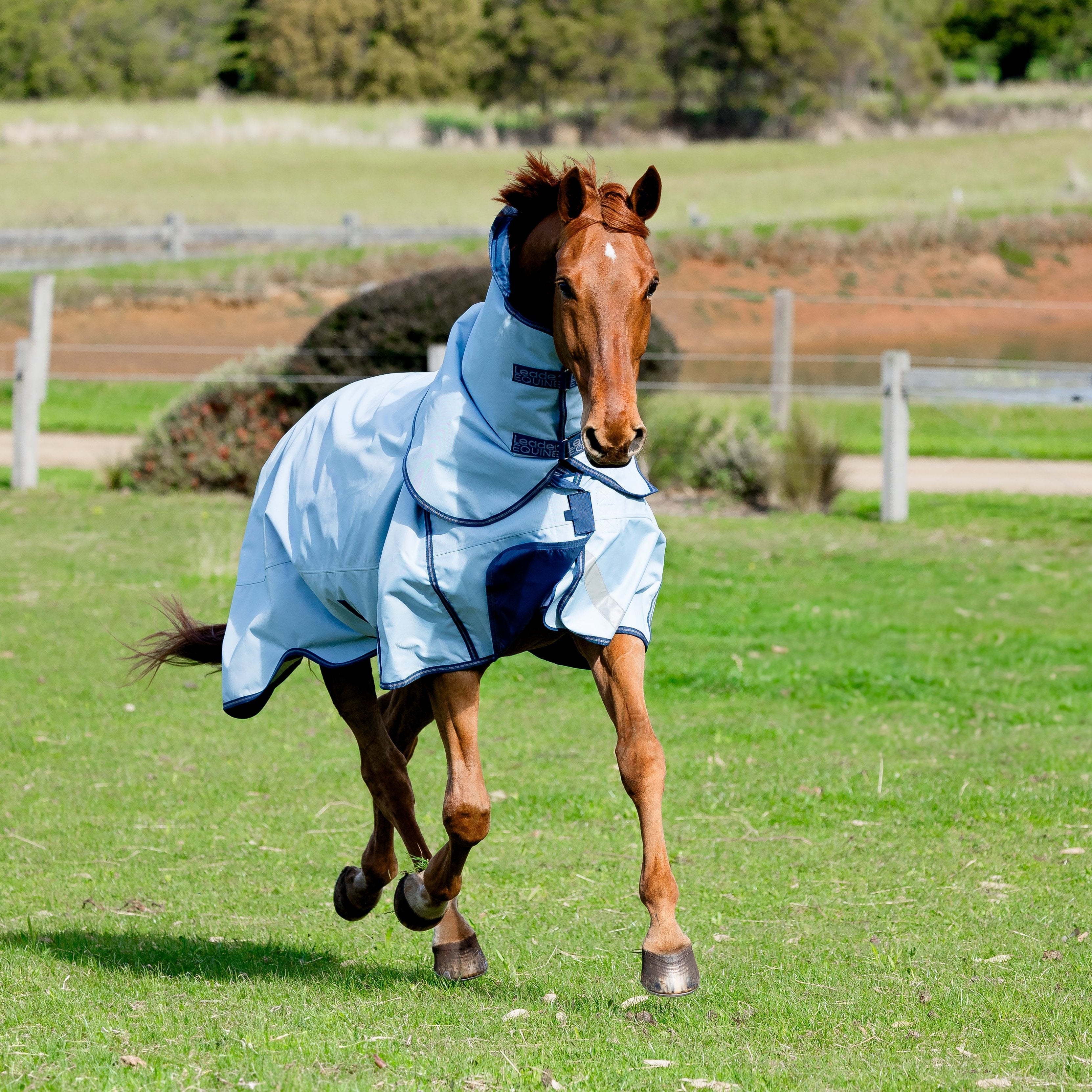 LE Boxter Turnout Detach-A-Neck