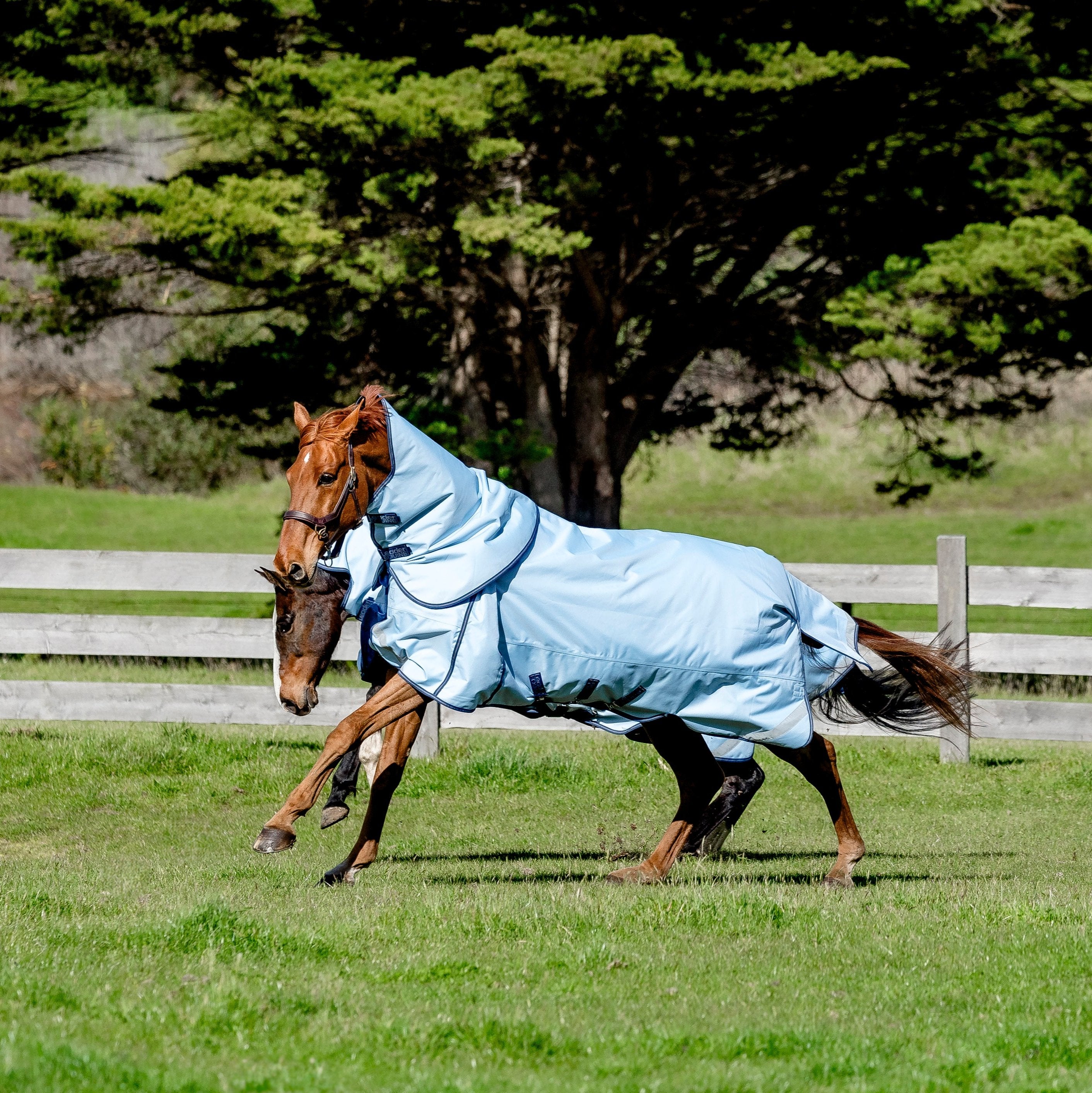 LE Boxter Turnout Detach-A-Neck