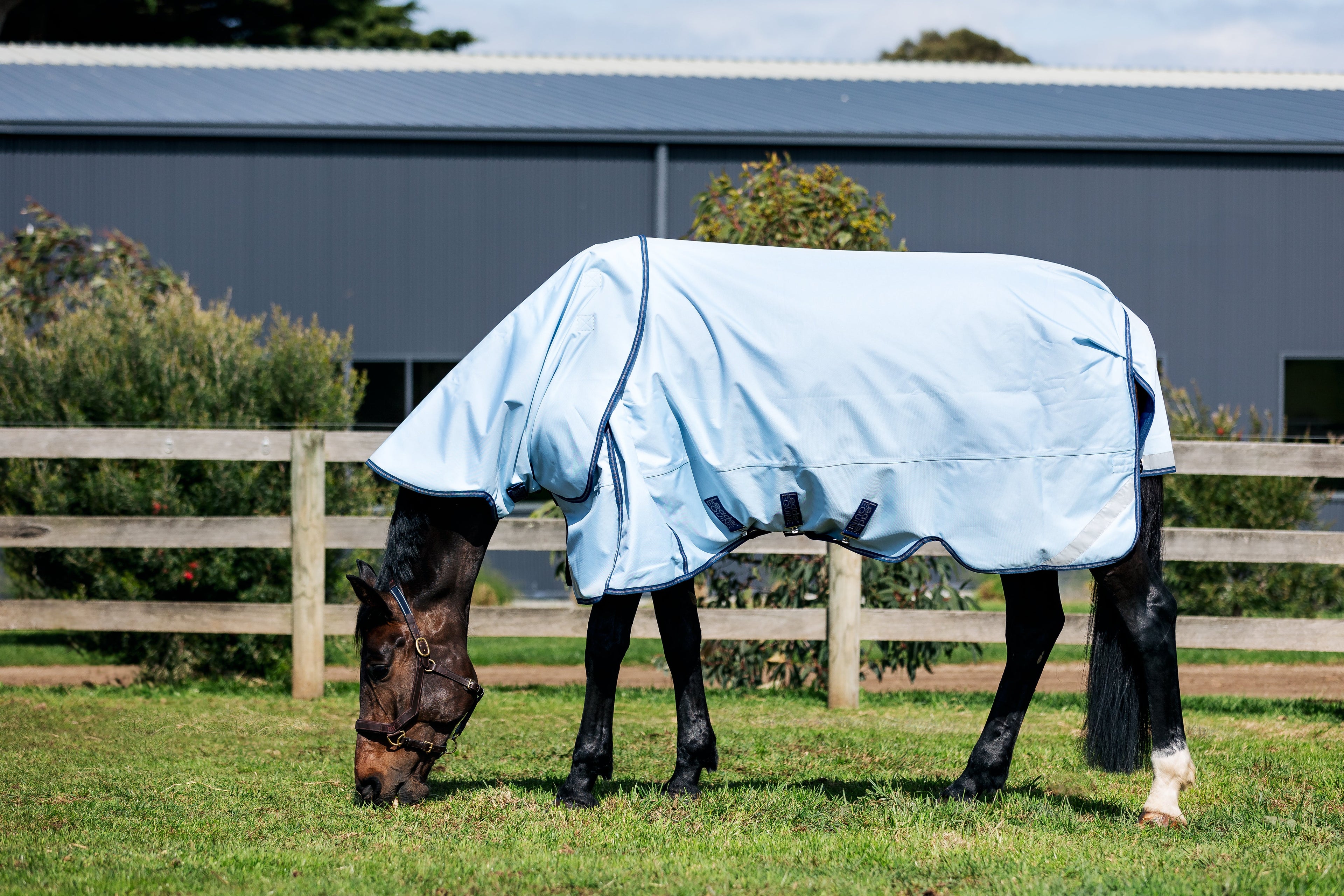 LE Boxter Turnout Detach-A-Neck