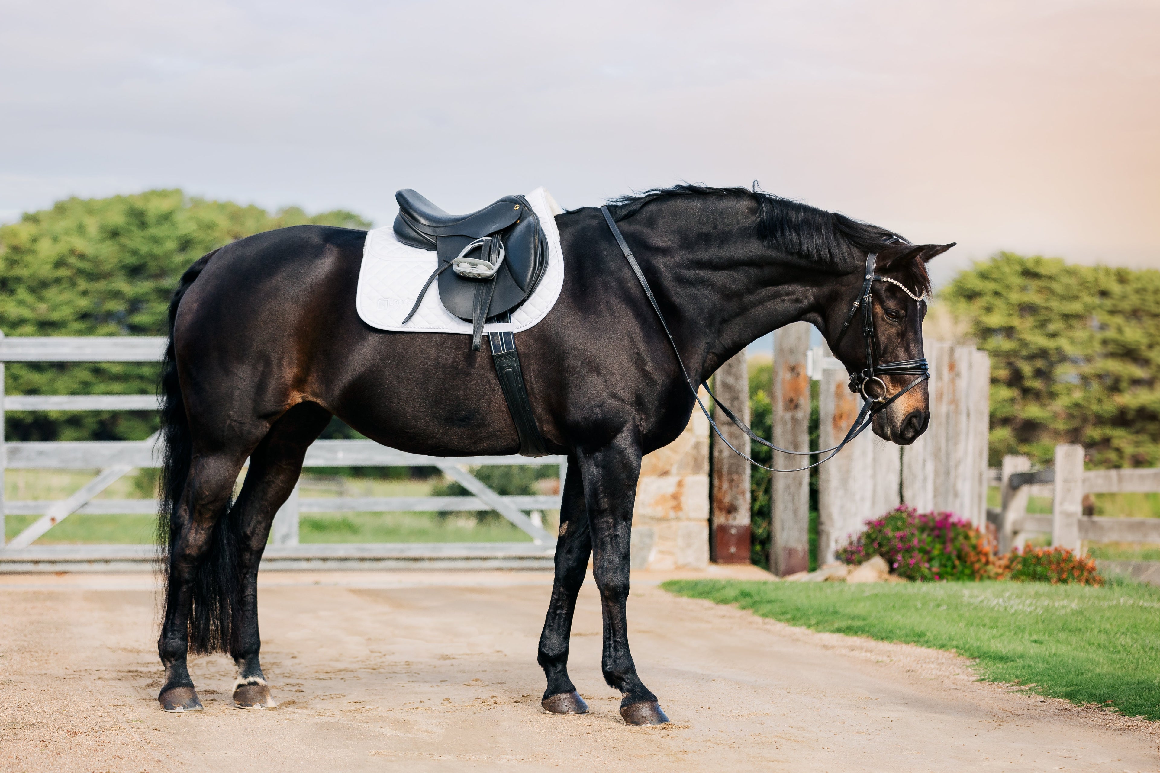 Leader Equine Performance Jump Saddle Pad with Shims