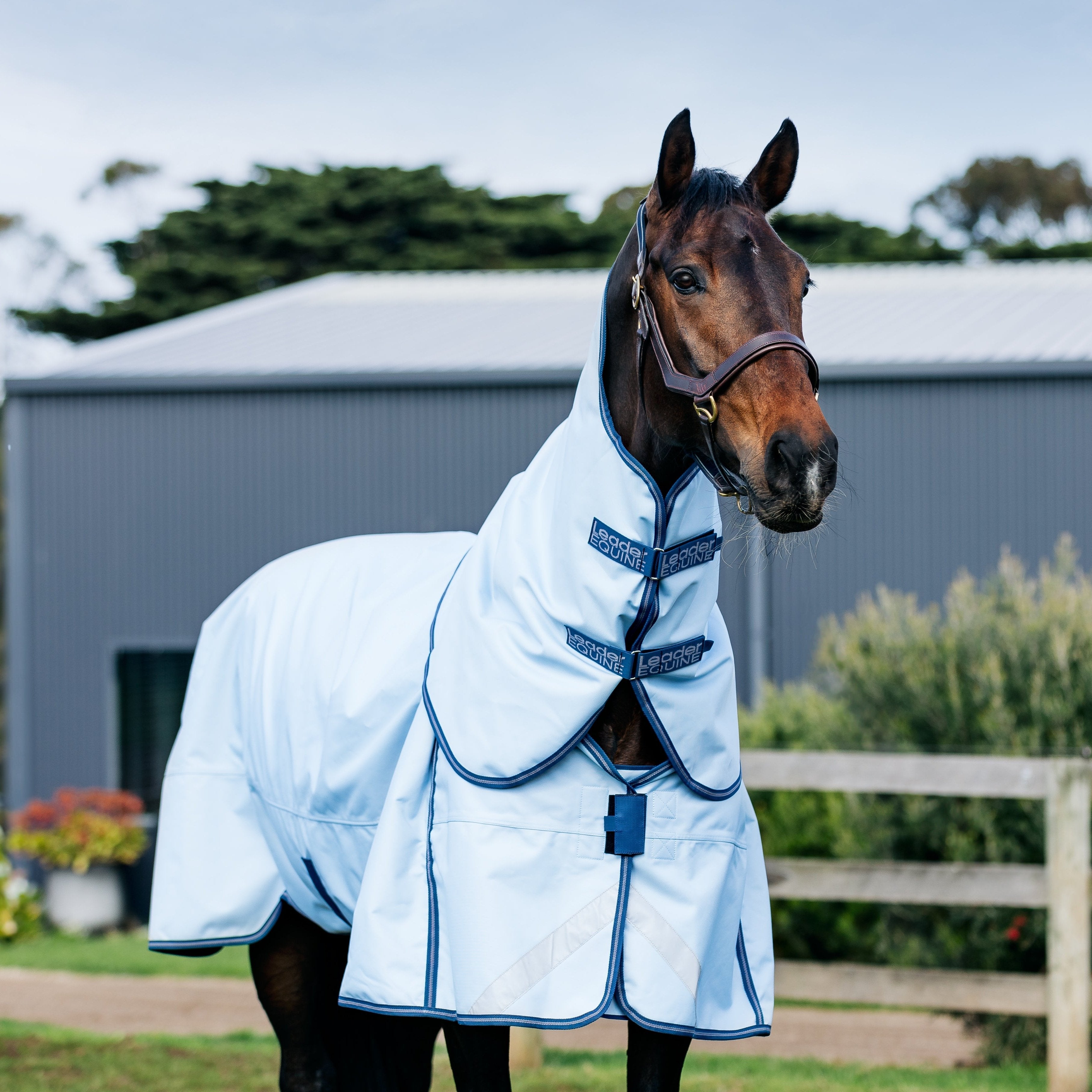 LE Boxter Turnout Detach-A-Neck