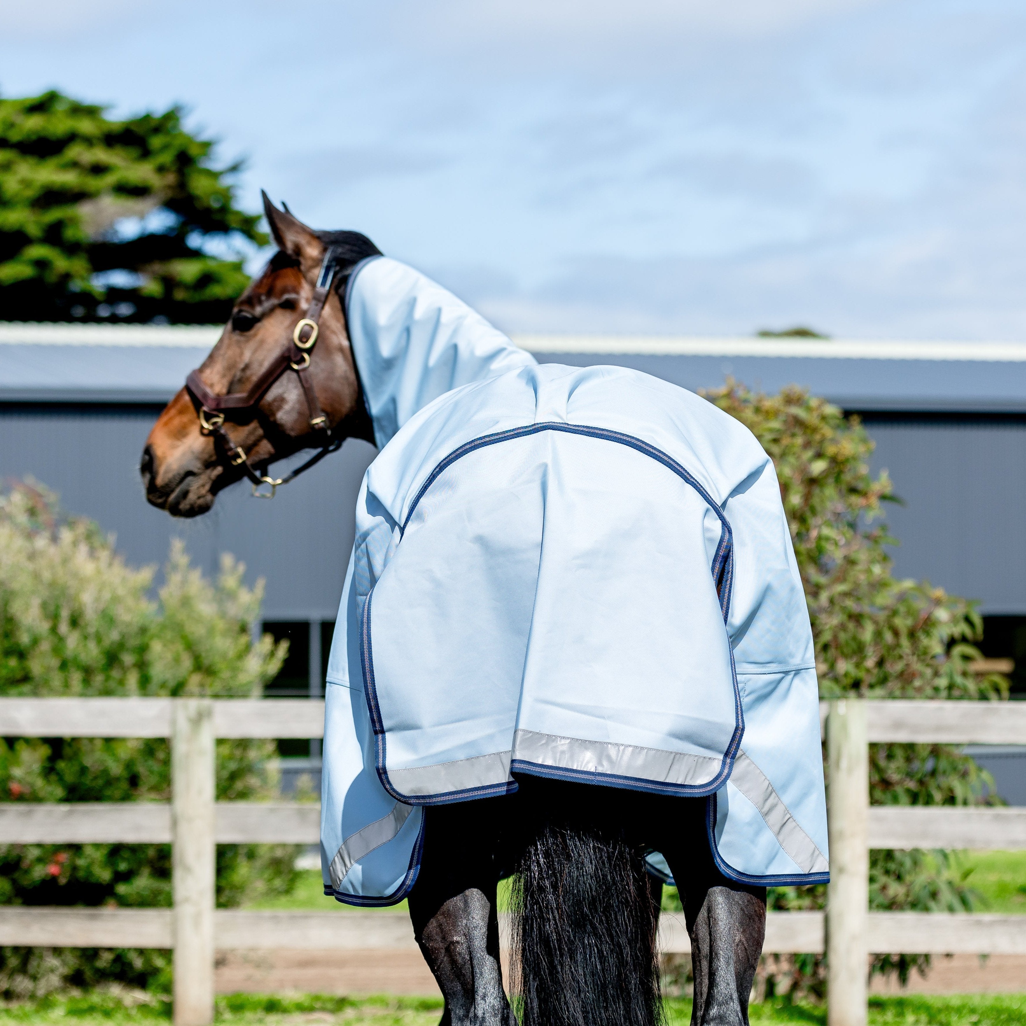 LE Boxter Turnout Detach-A-Neck