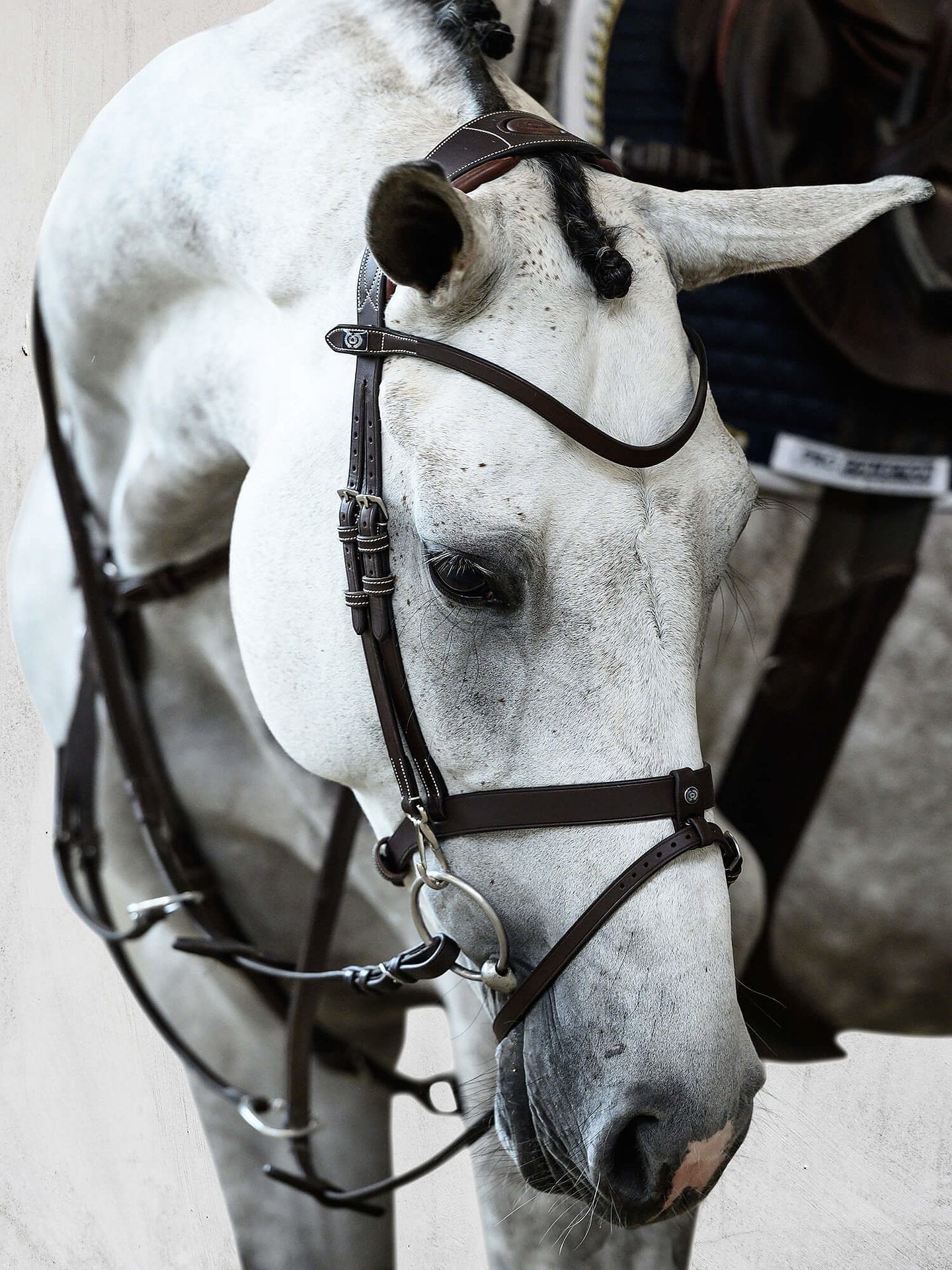 PS of Sweden Bridle London