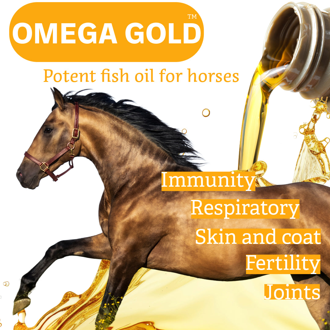 NPC Omega GOLD