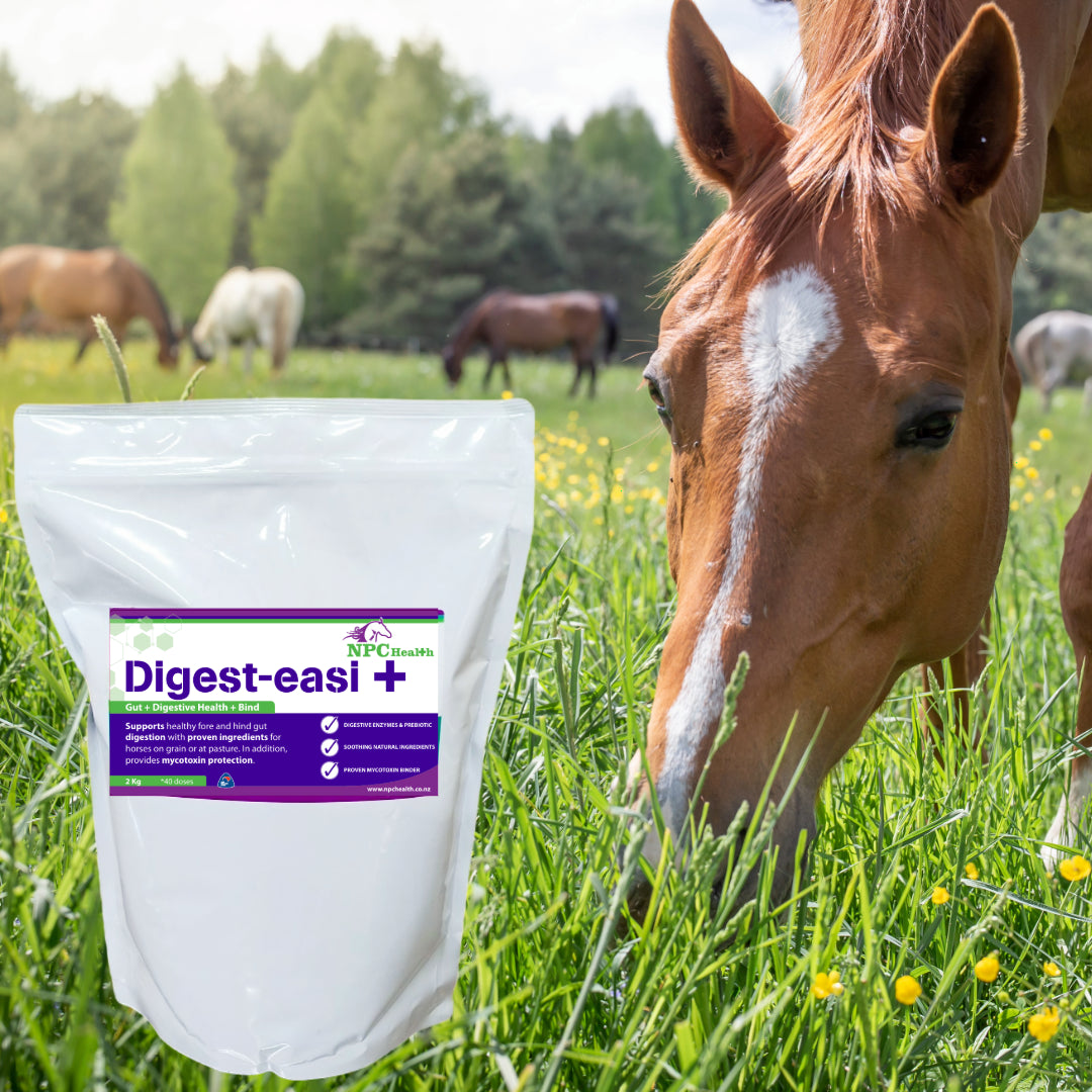 NPC Health Digest Easi + Toxin Binder & Digestive Aid