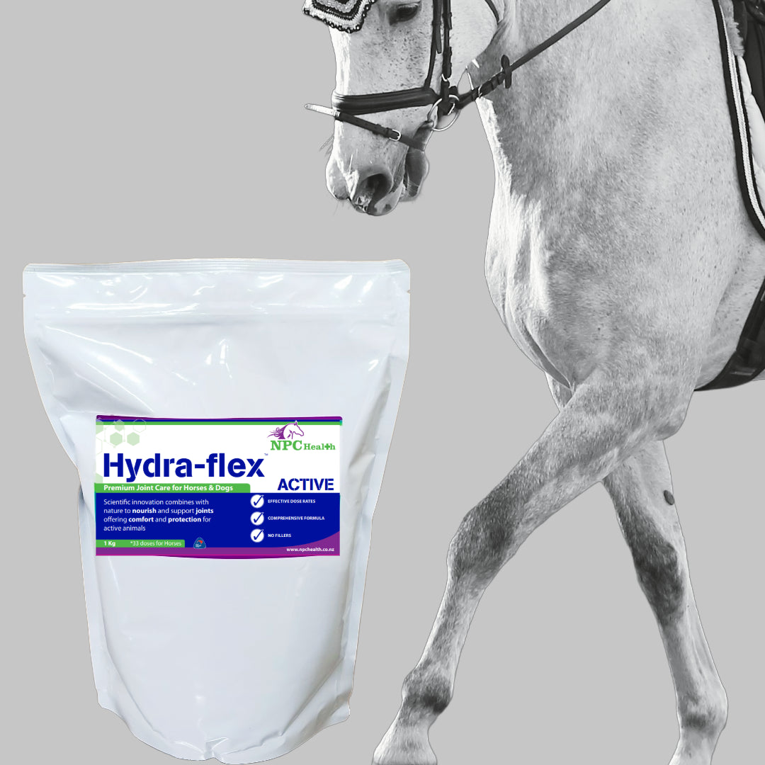 NPC Health Hydra-flex Active Joint Supplement for horses