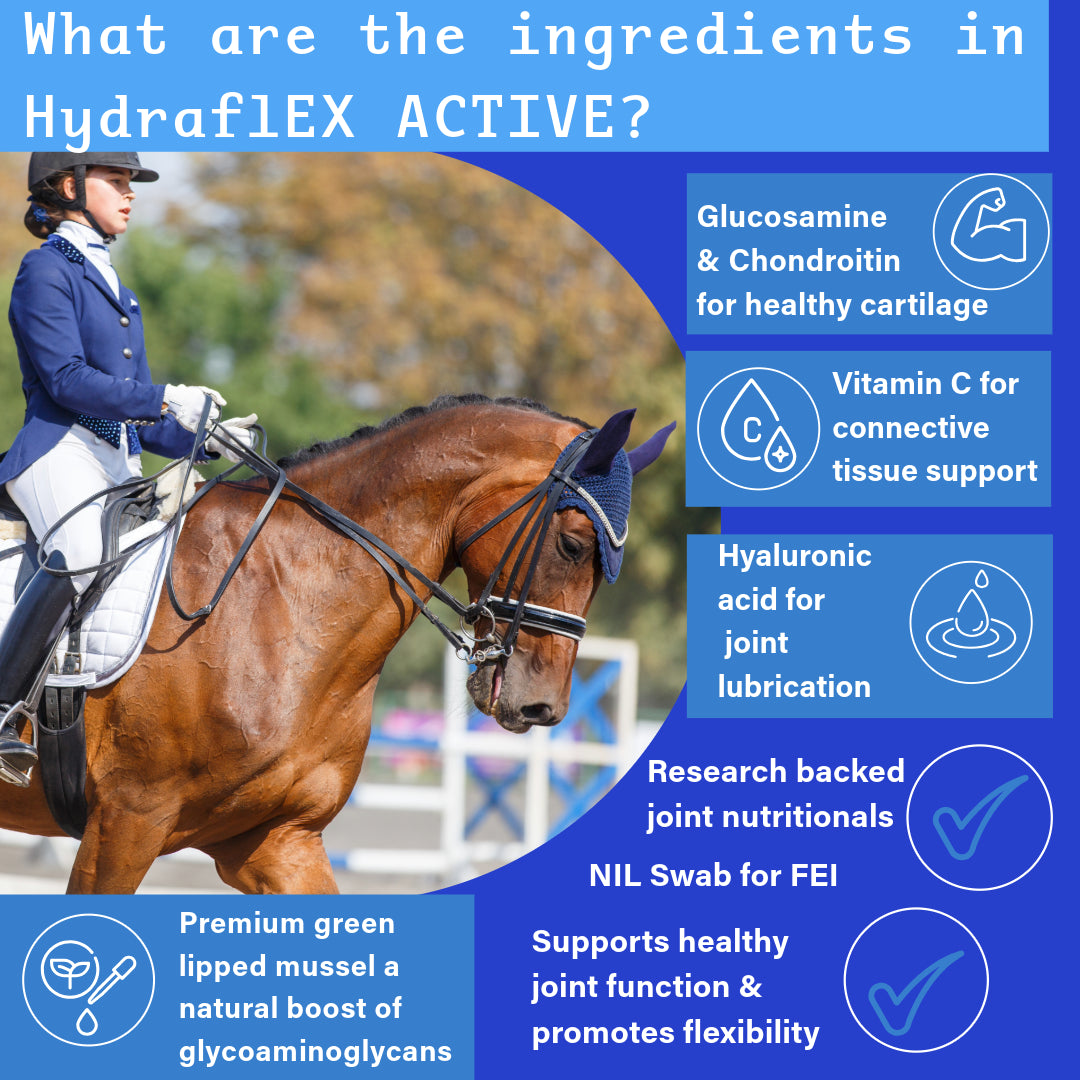 NPC Health Hydra-flex Active Joint Supplement for horses